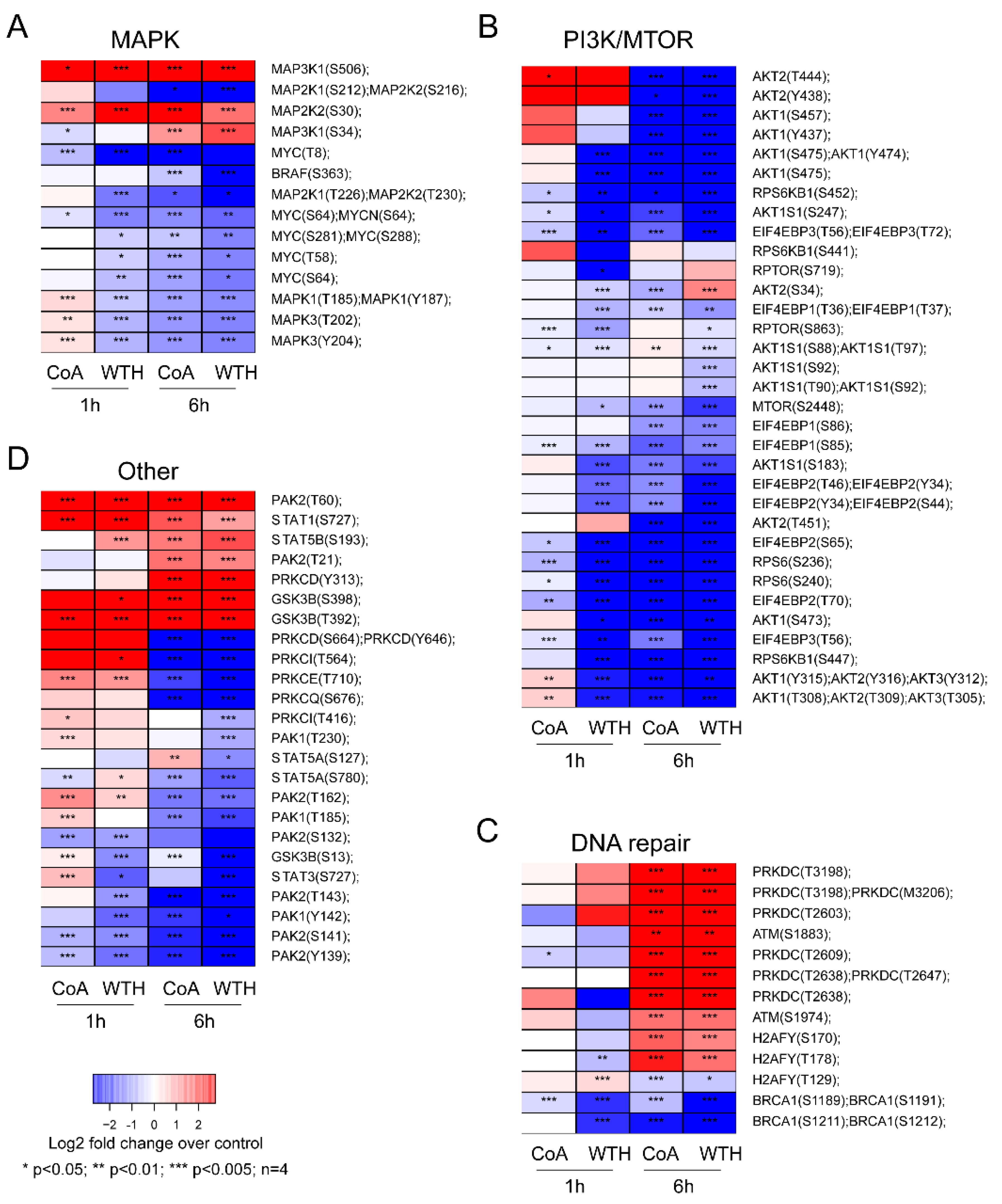 Biomedicines 08 00333 g006