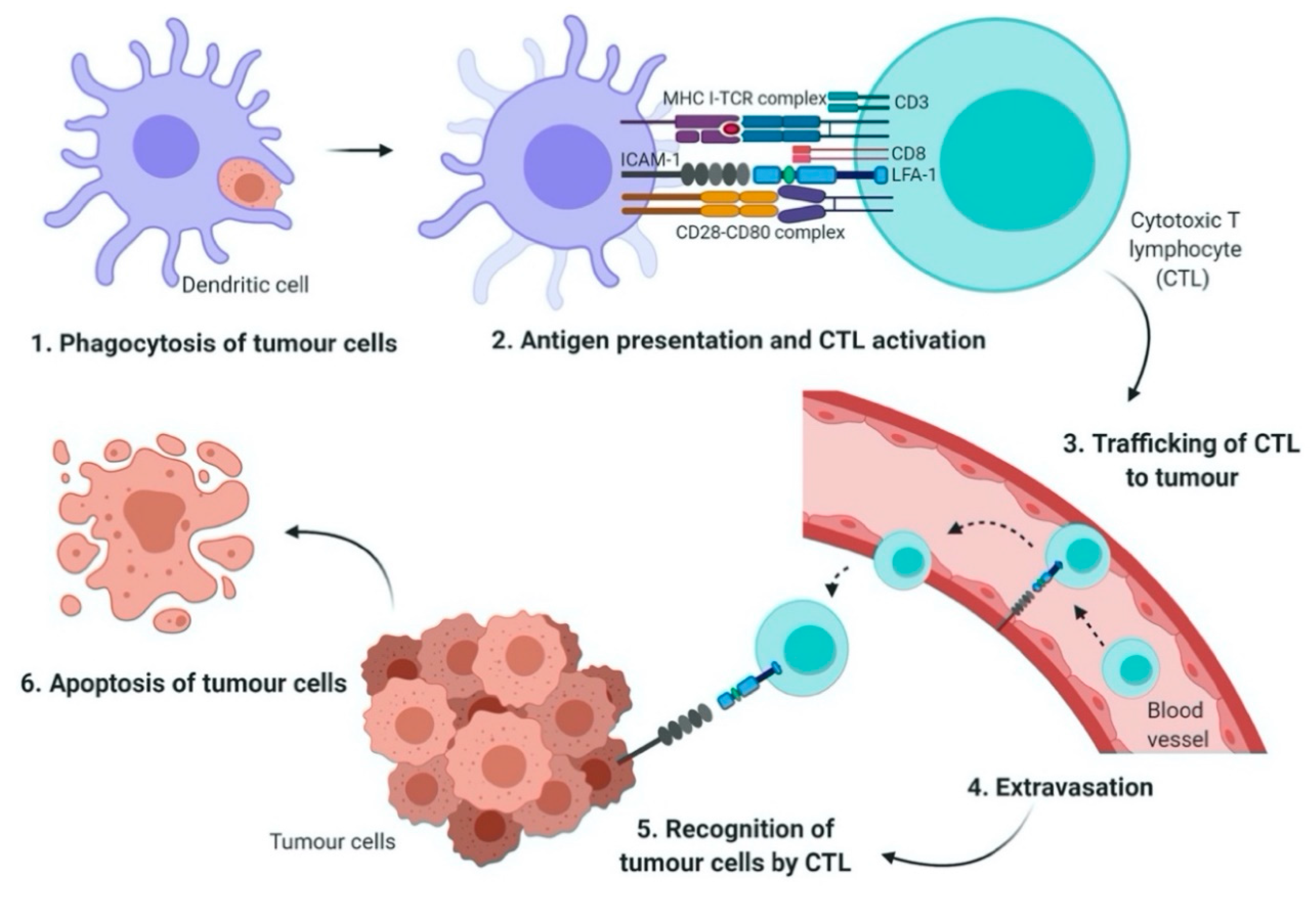 Biomedicines 08 00334 g001