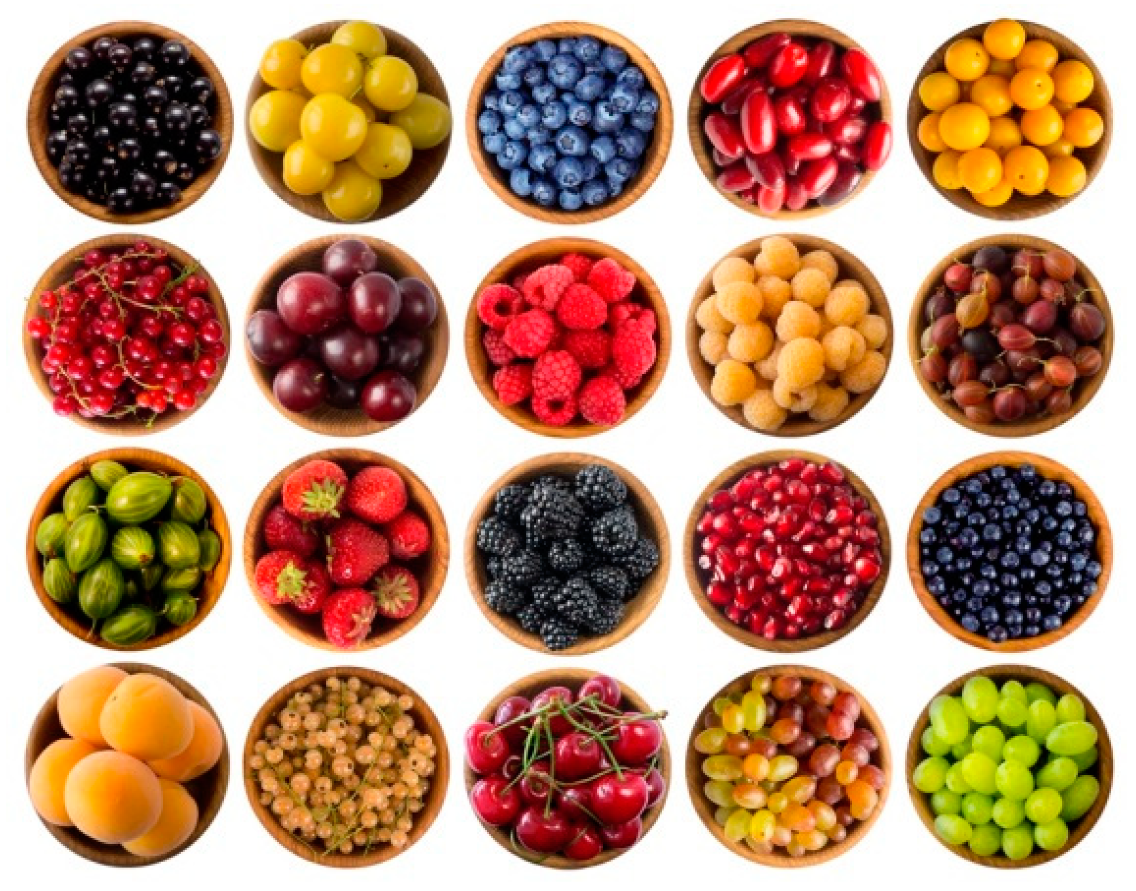 Biomedicines 08 00336 g002