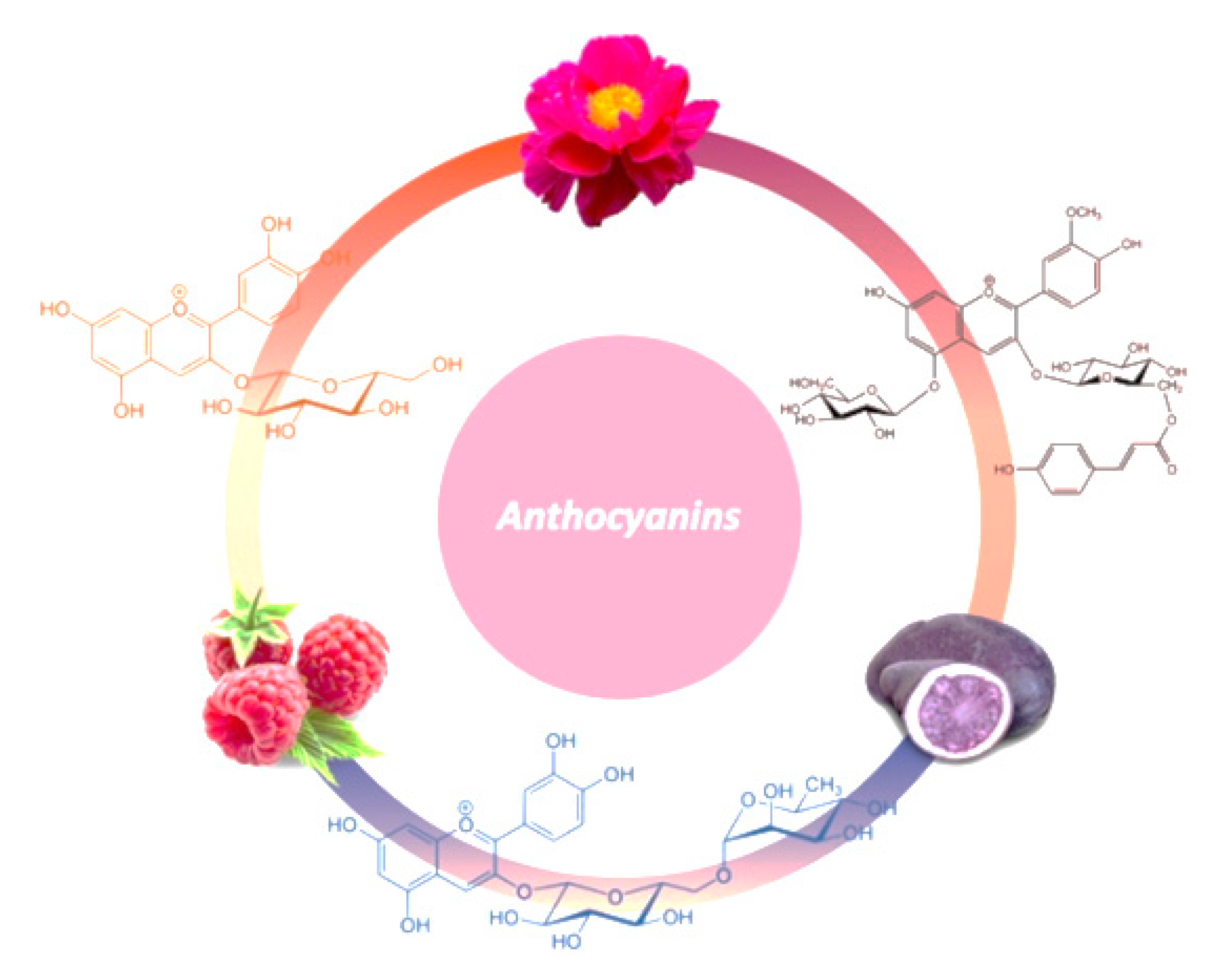 Biomedicines 08 00336 g003