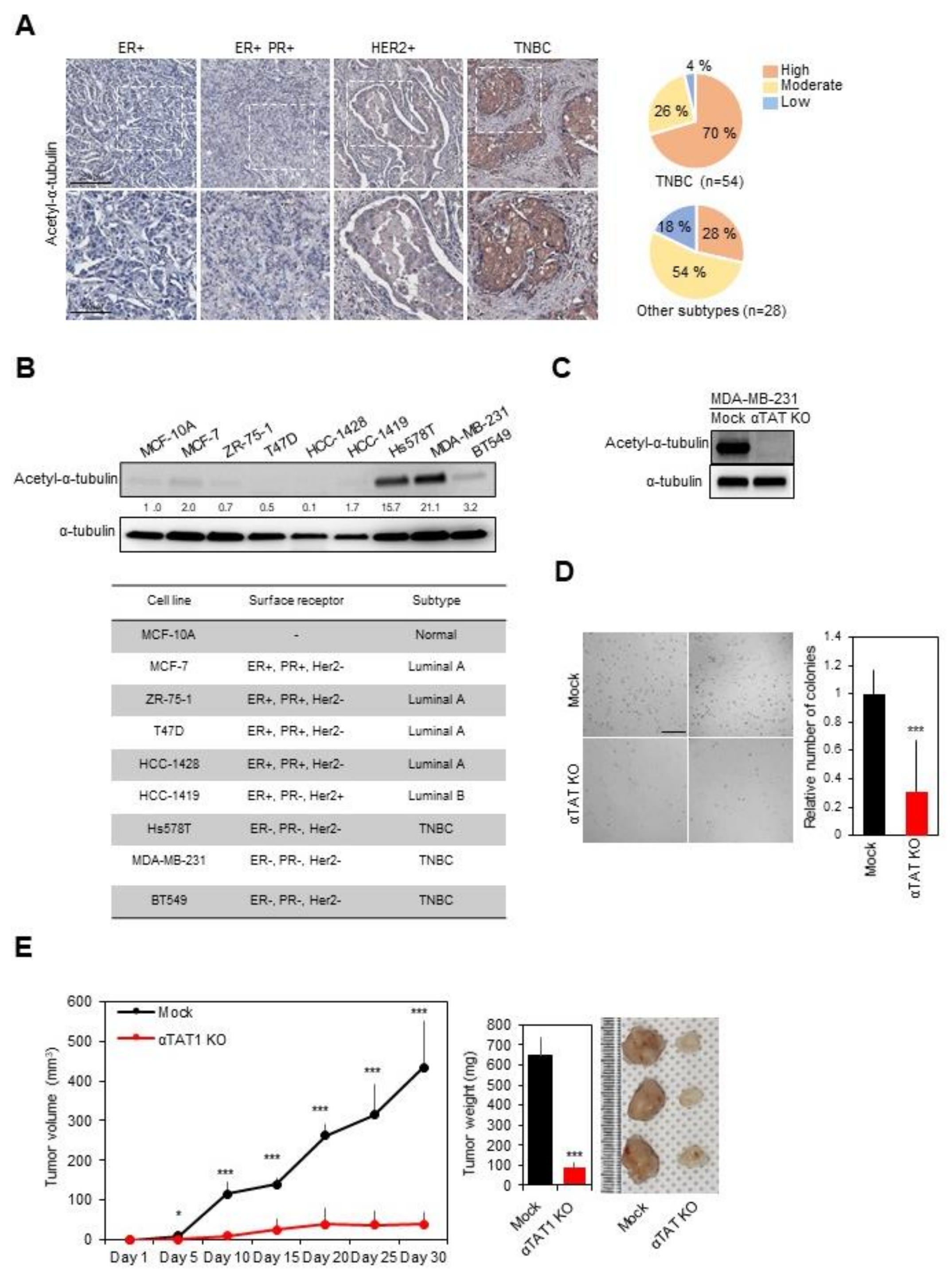 Biomedicines 08 00338 g001