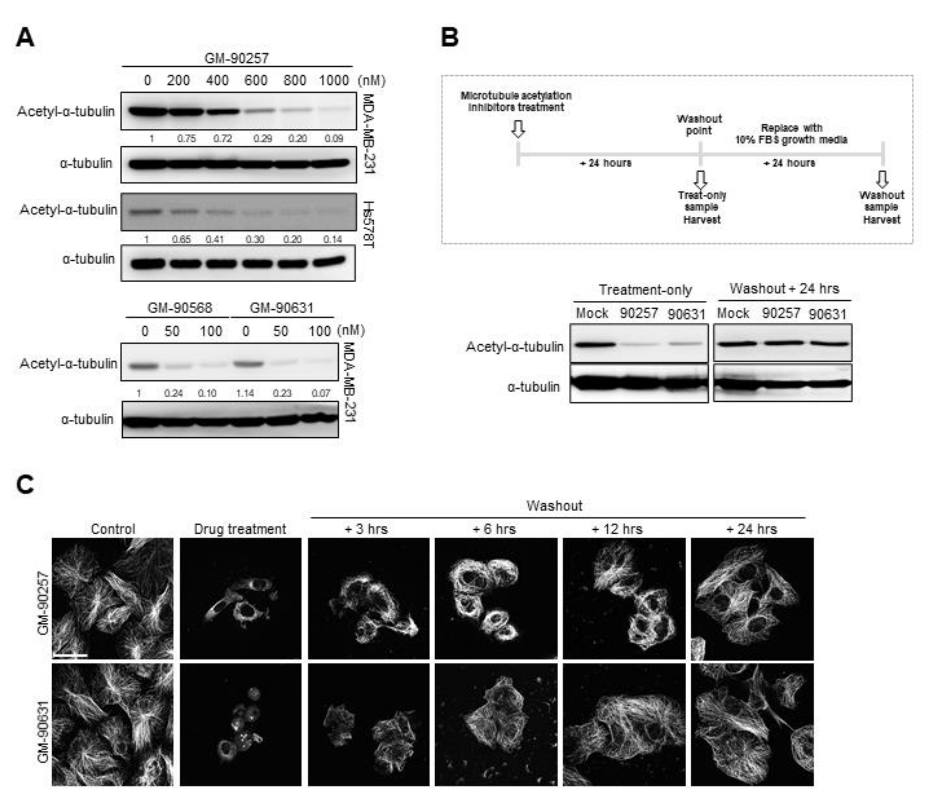 Biomedicines 08 00338 g002