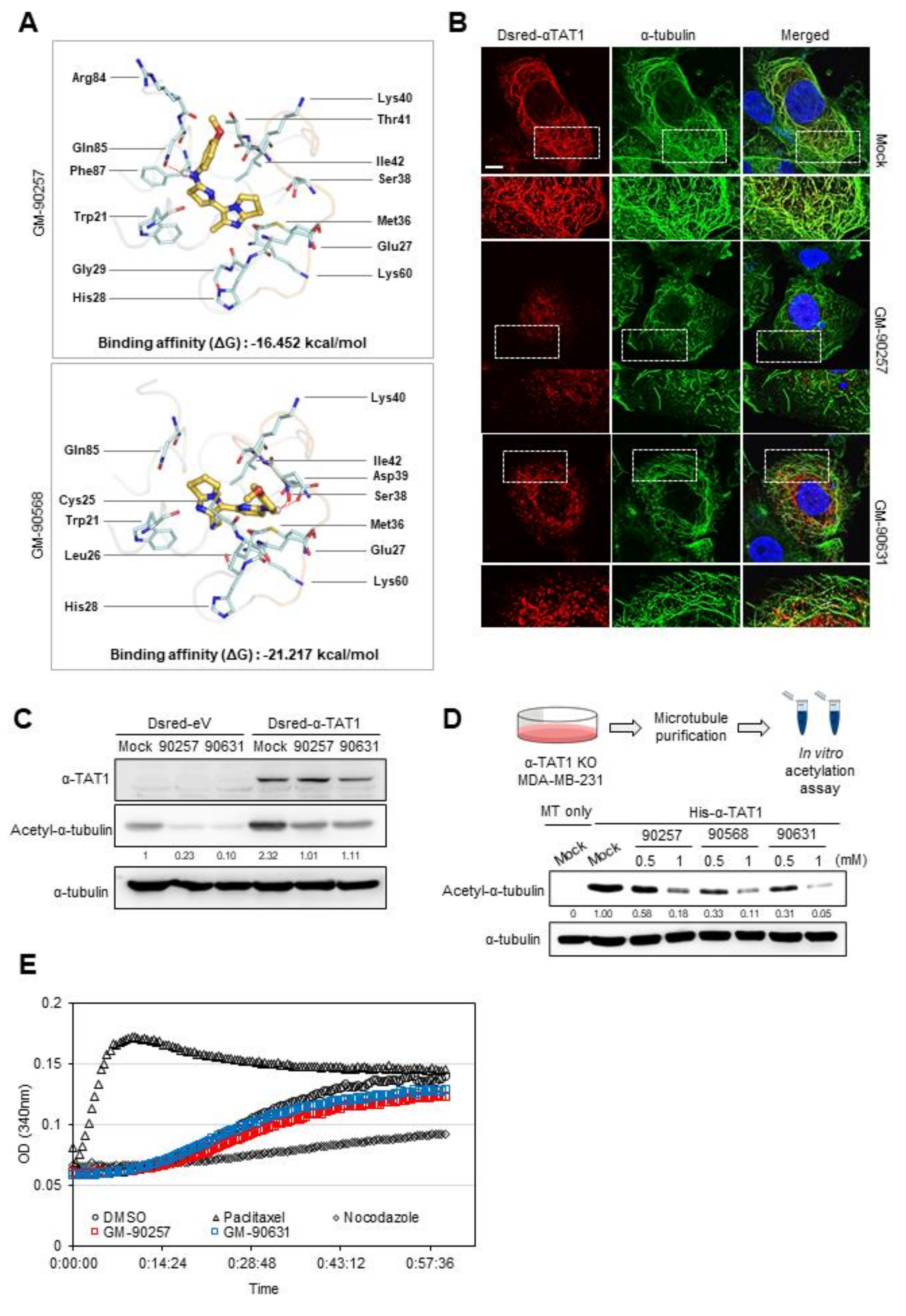 Biomedicines 08 00338 g003