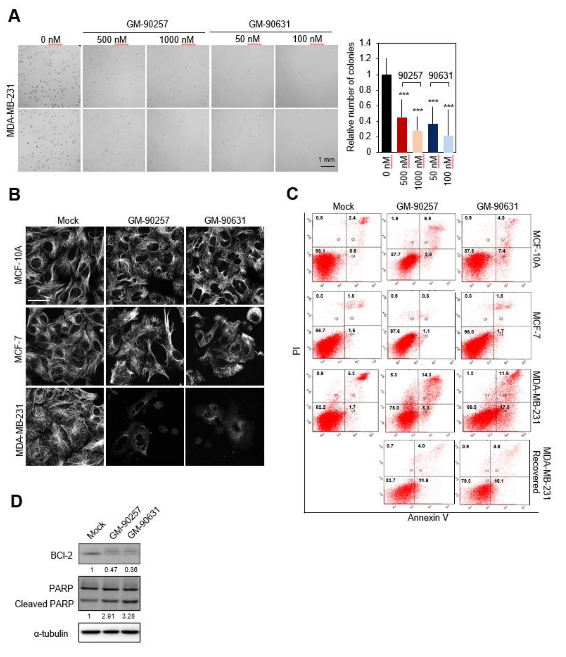 Biomedicines 08 00338 g004