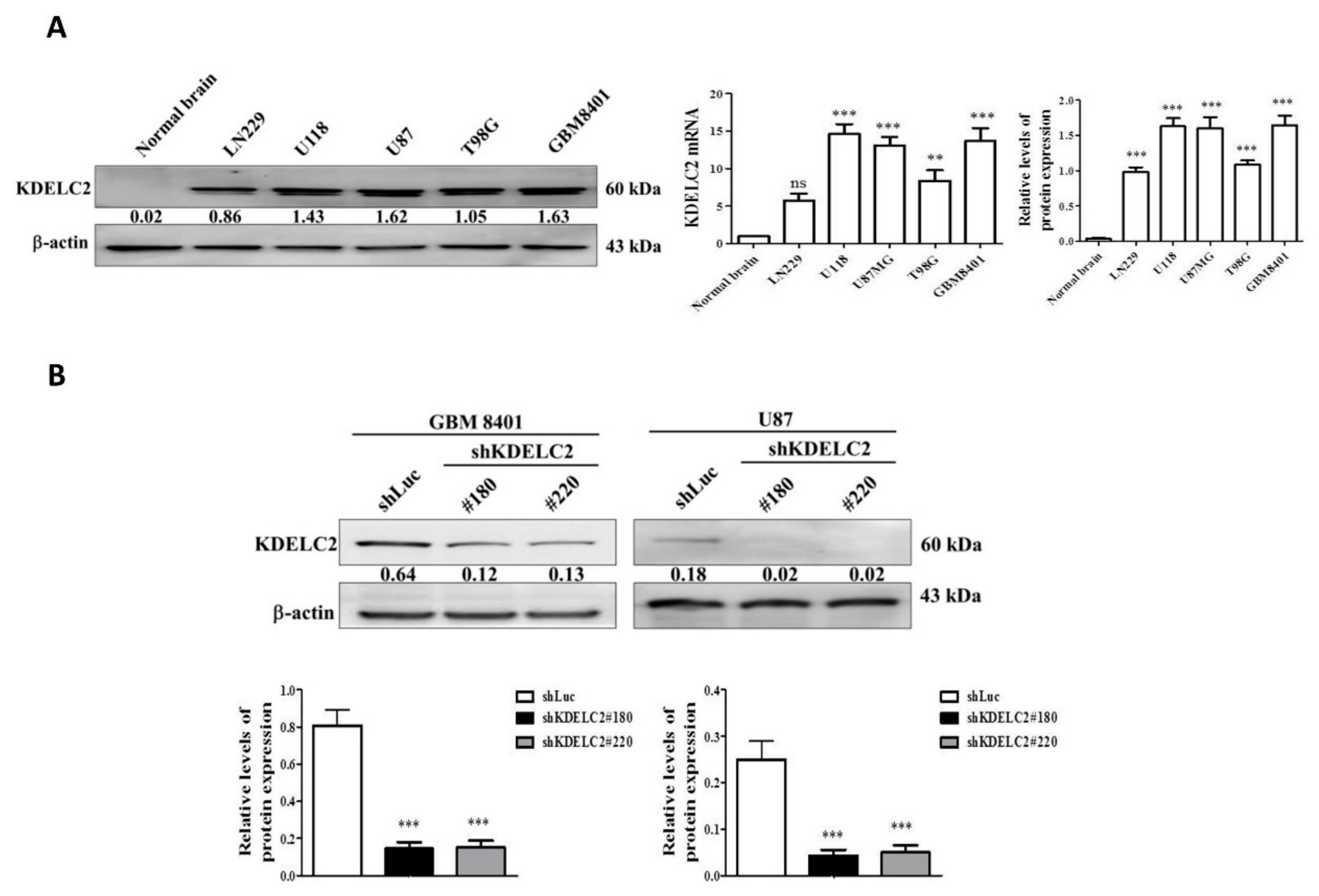 Biomedicines 08 00339 g002