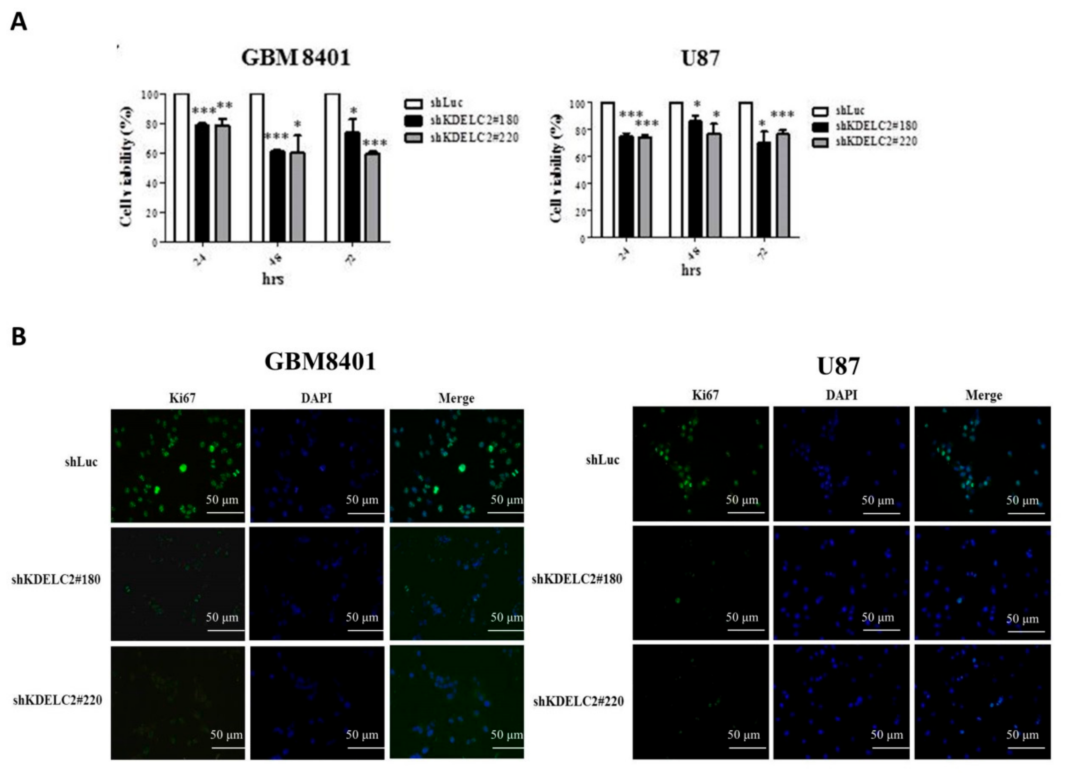 Biomedicines 08 00339 g003