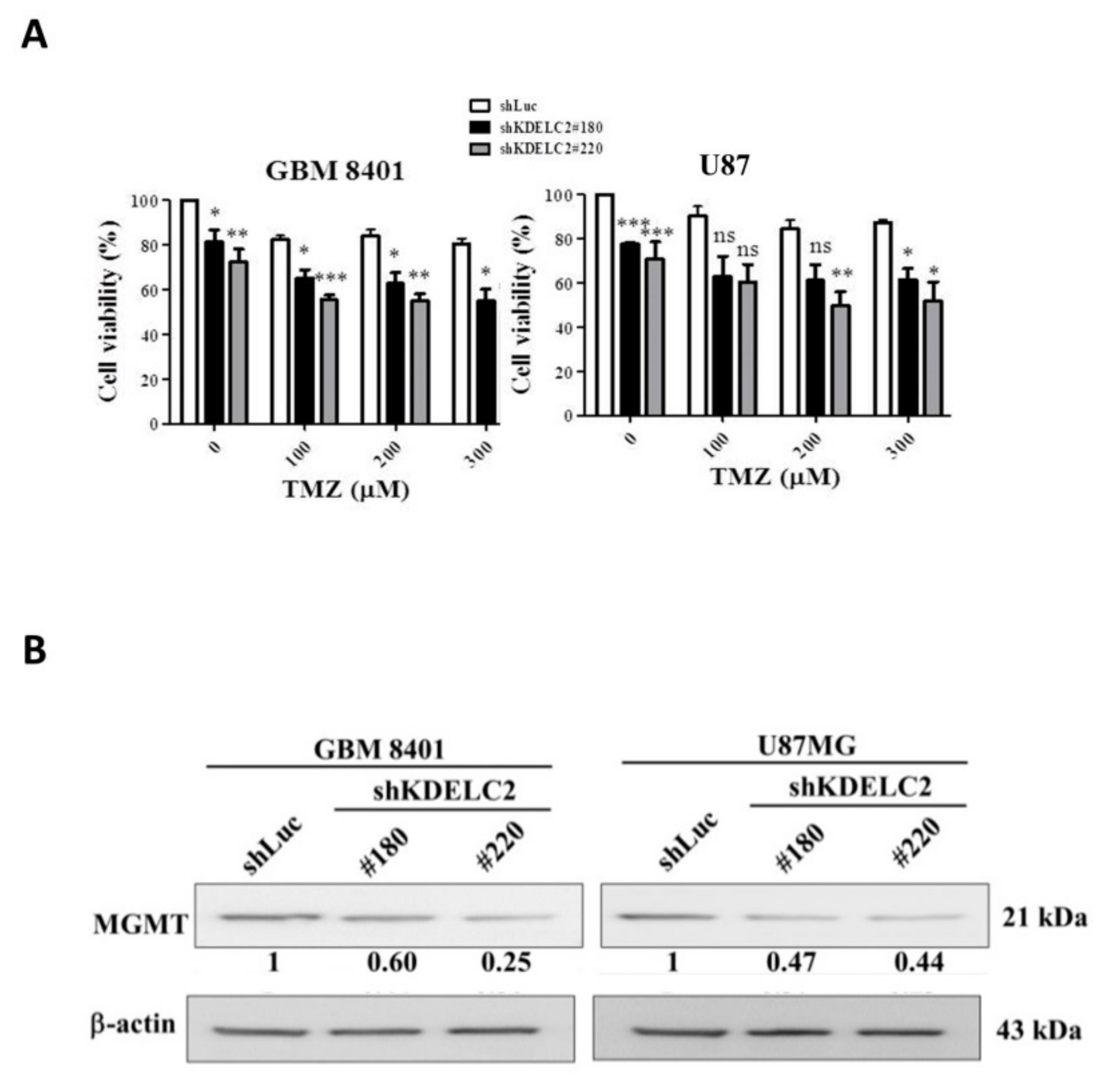 Biomedicines 08 00339 g010