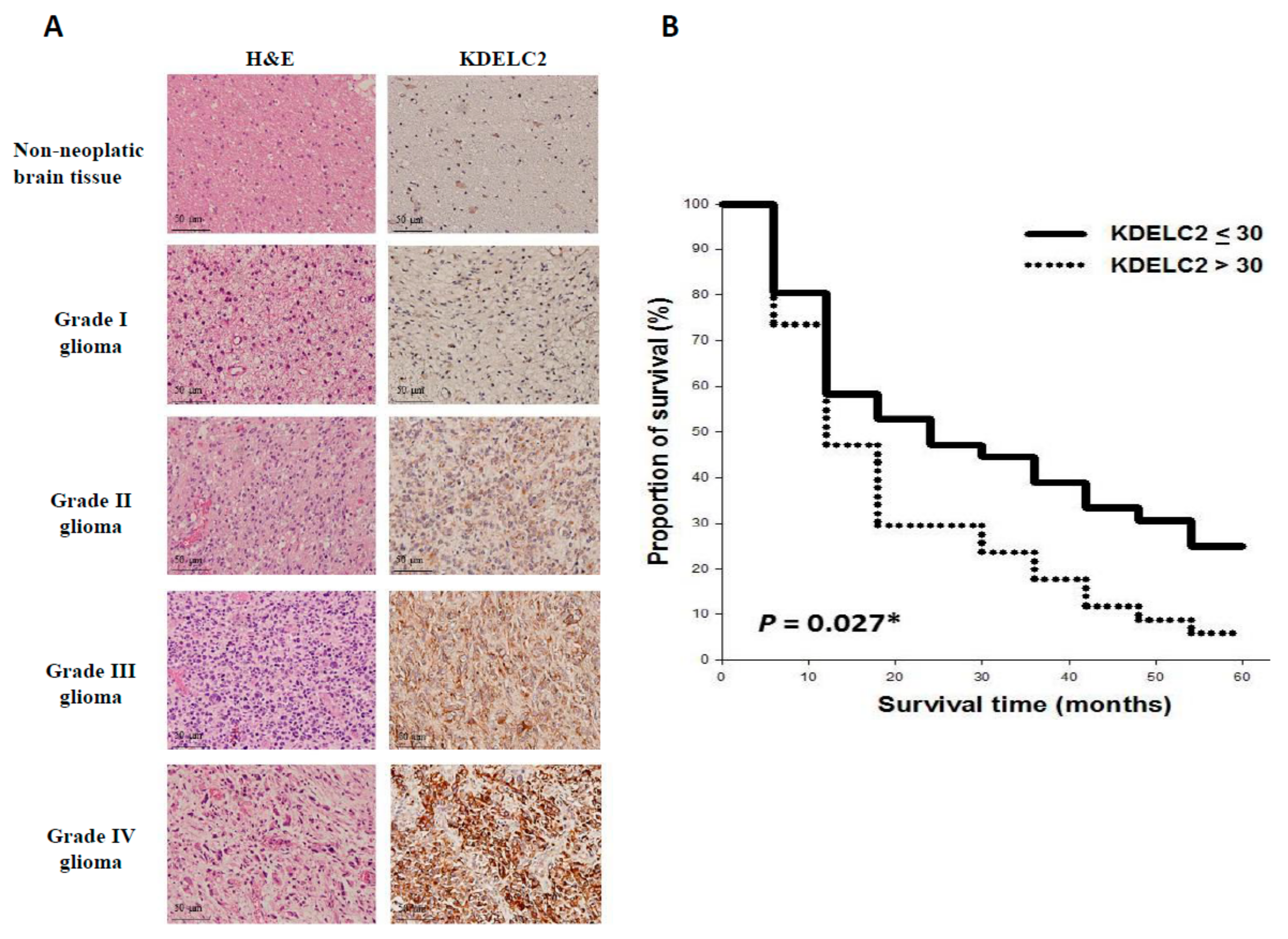 Biomedicines 08 00339 g012