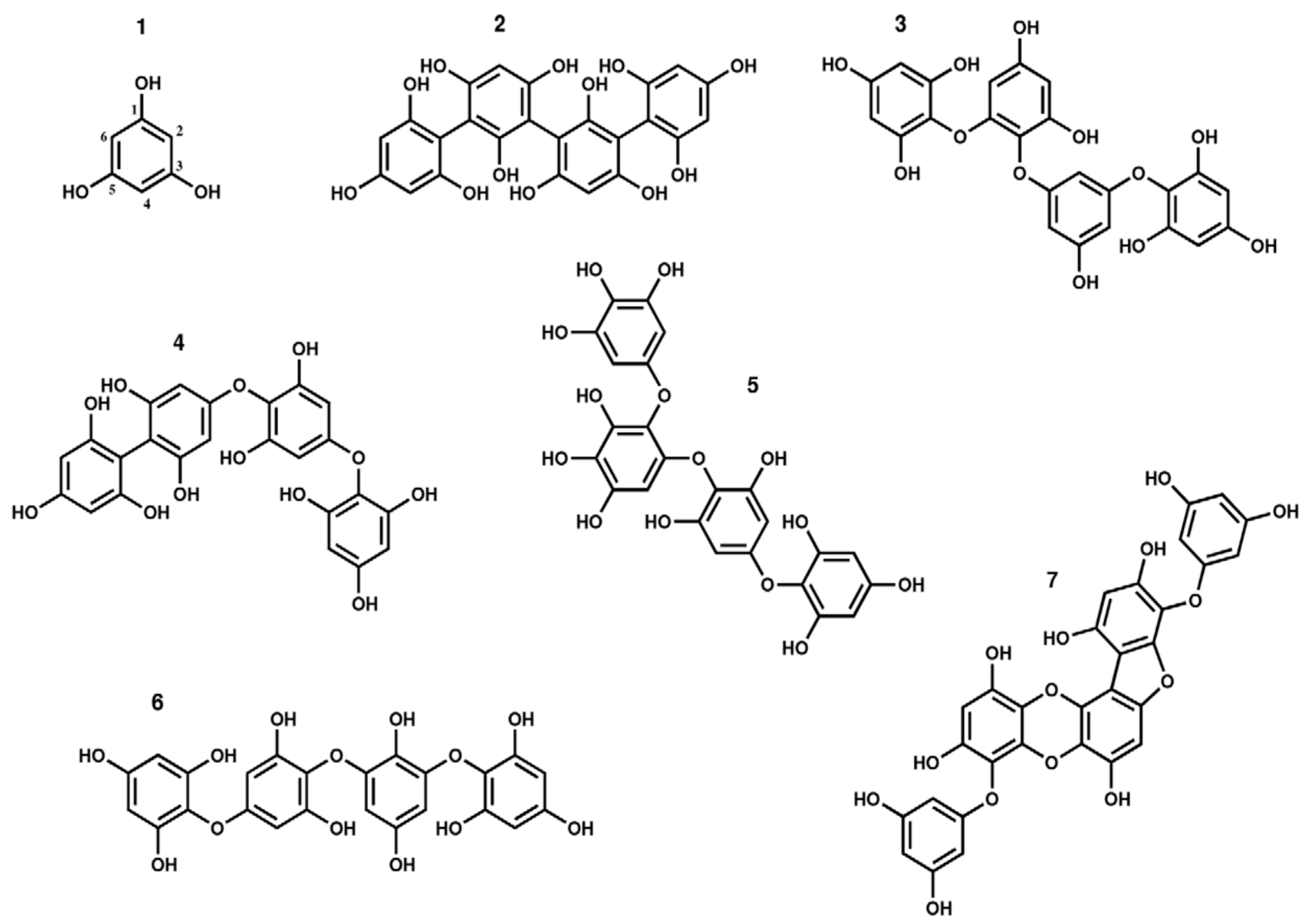 Biomedicines 08 00342 g001