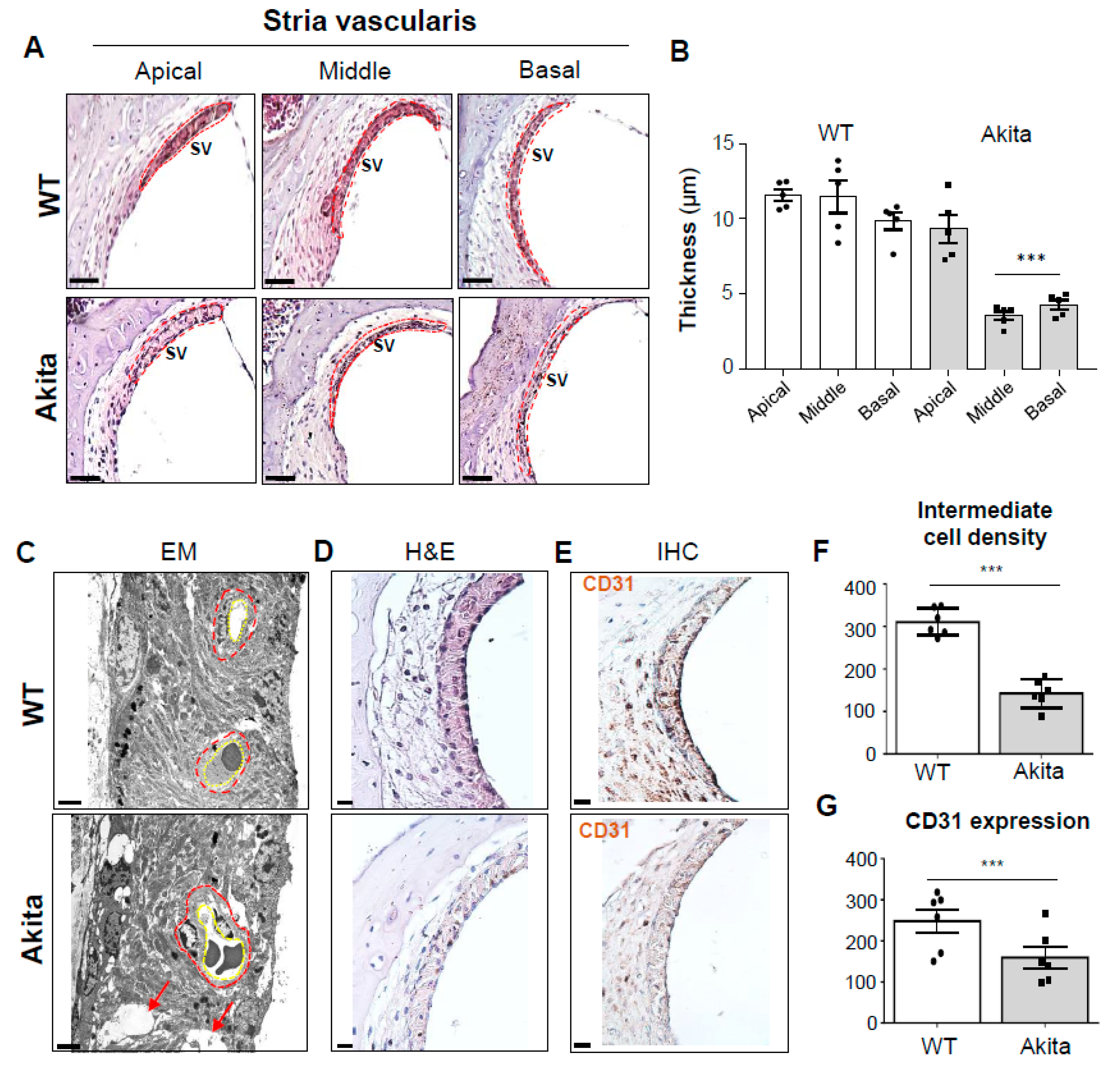 Biomedicines 08 00343 g003