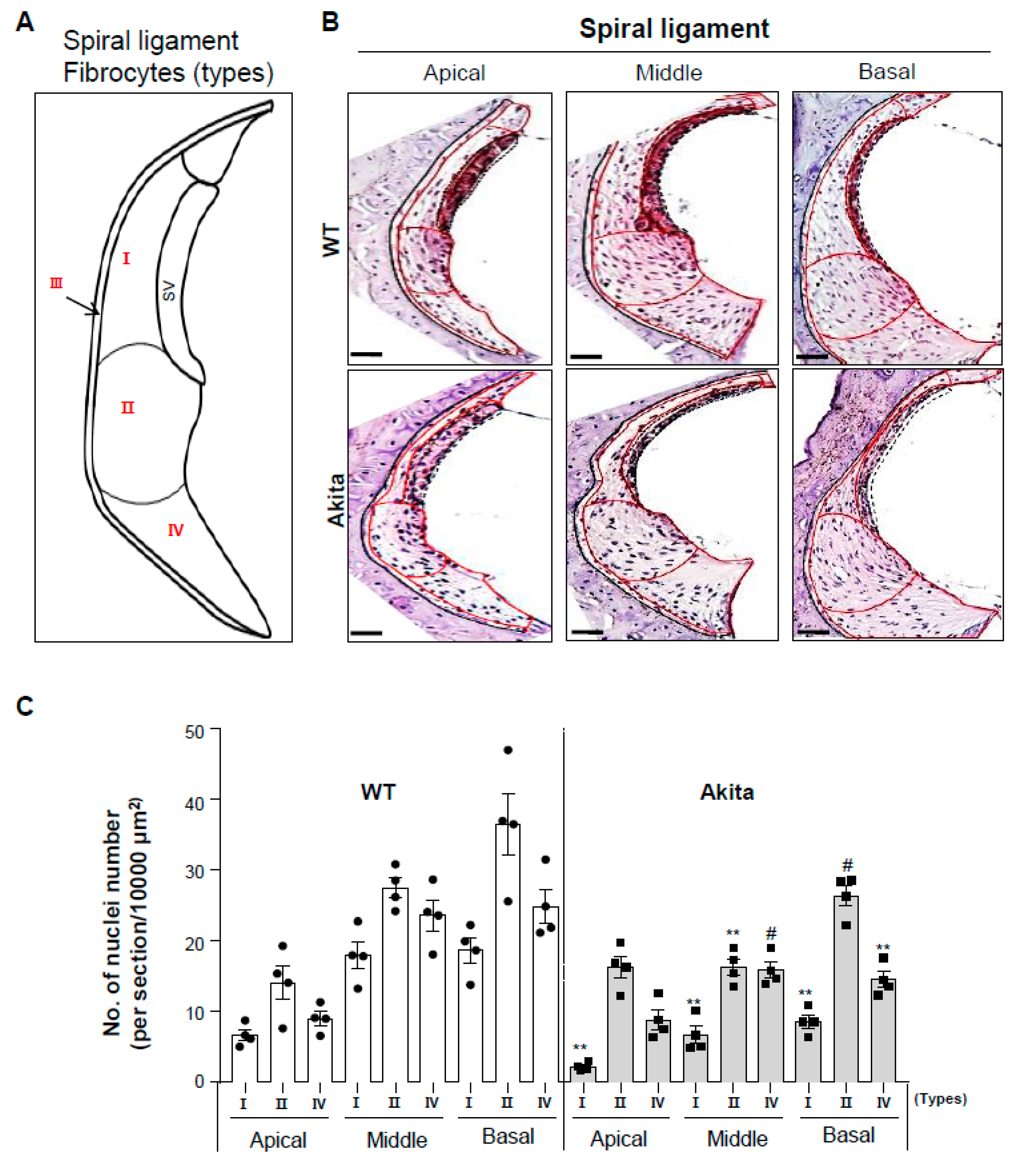 Biomedicines 08 00343 g004