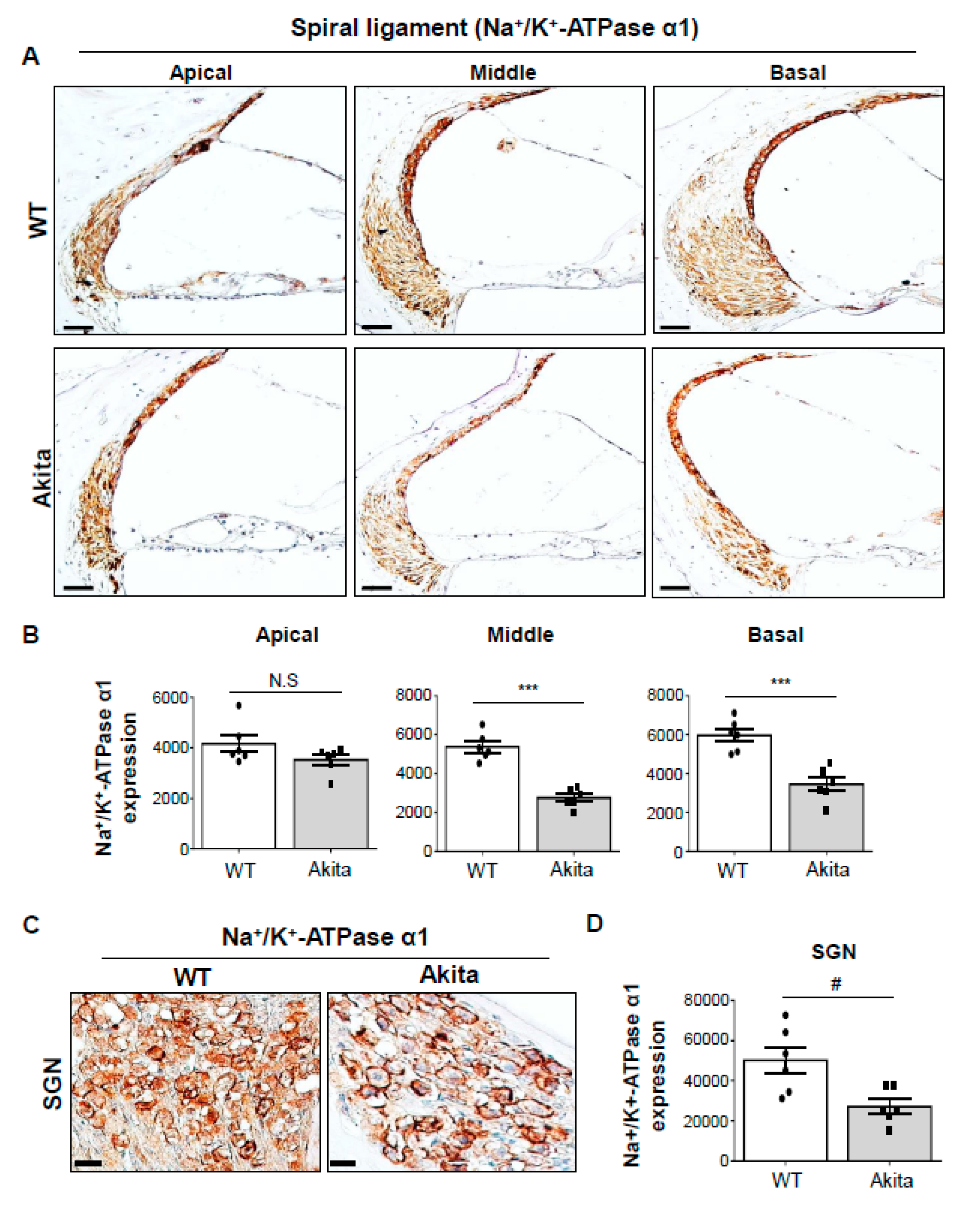 Biomedicines 08 00343 g005