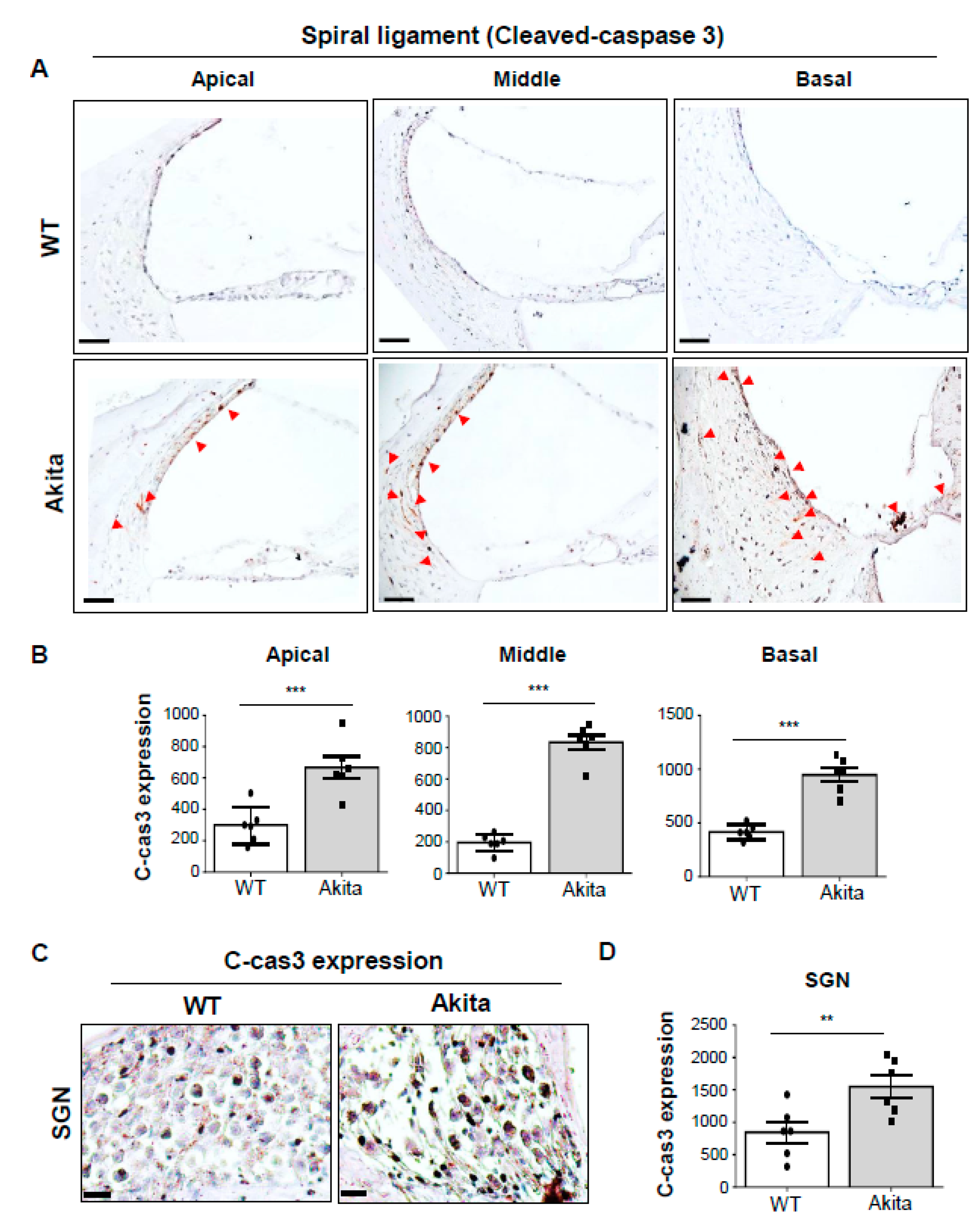 Biomedicines 08 00343 g006