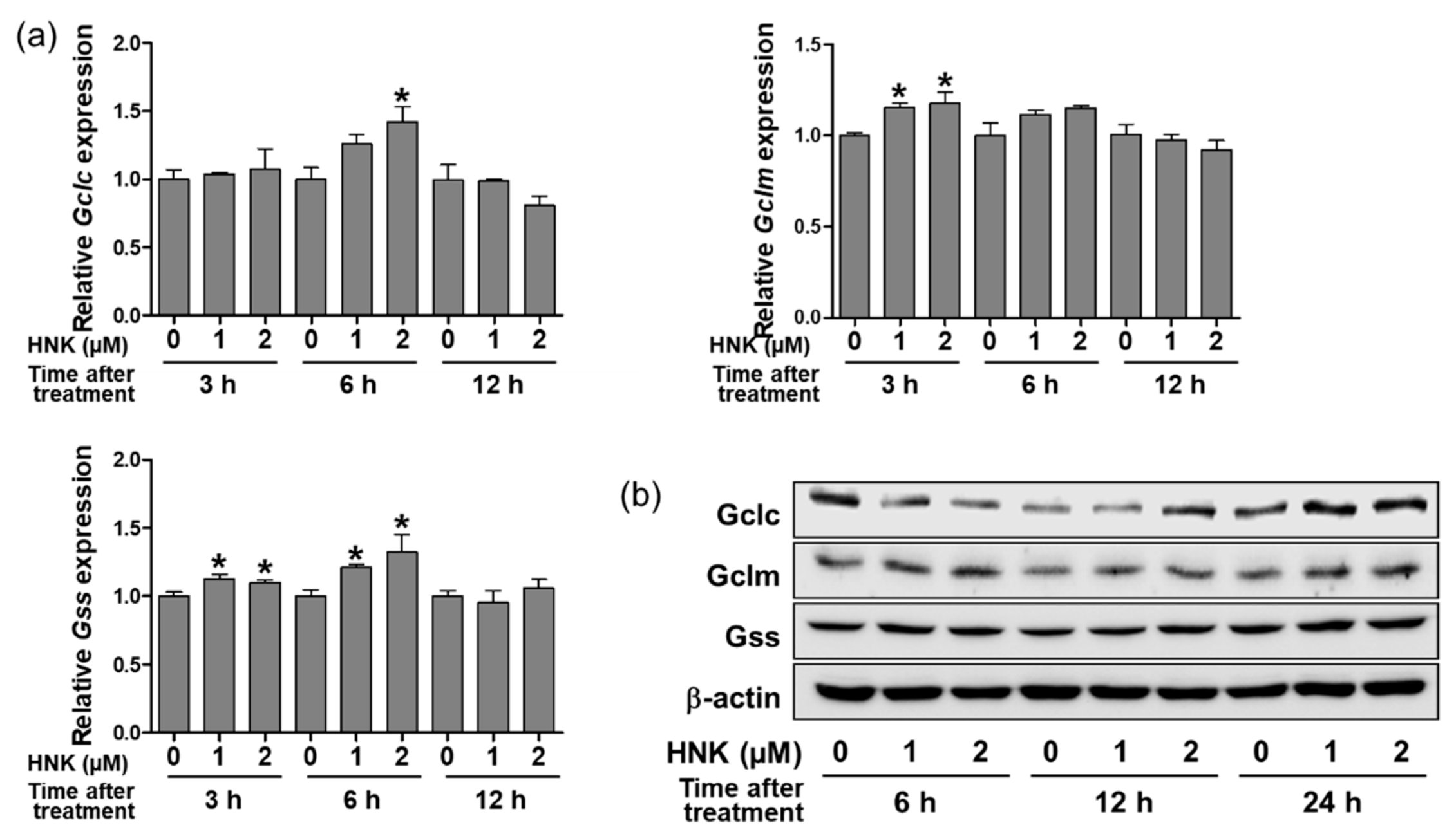 Biomedicines 08 00352 g002