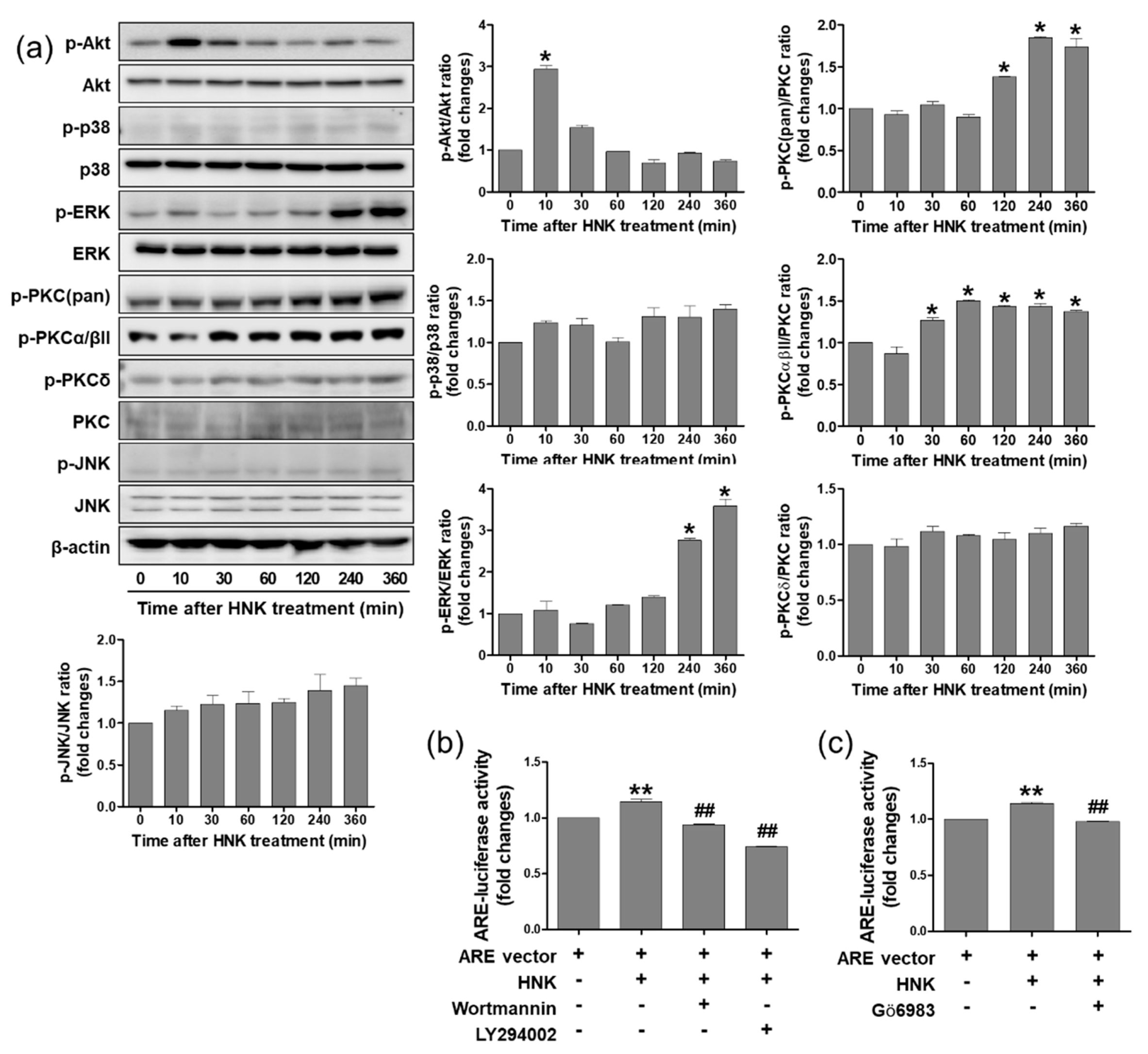 Biomedicines 08 00352 g004
