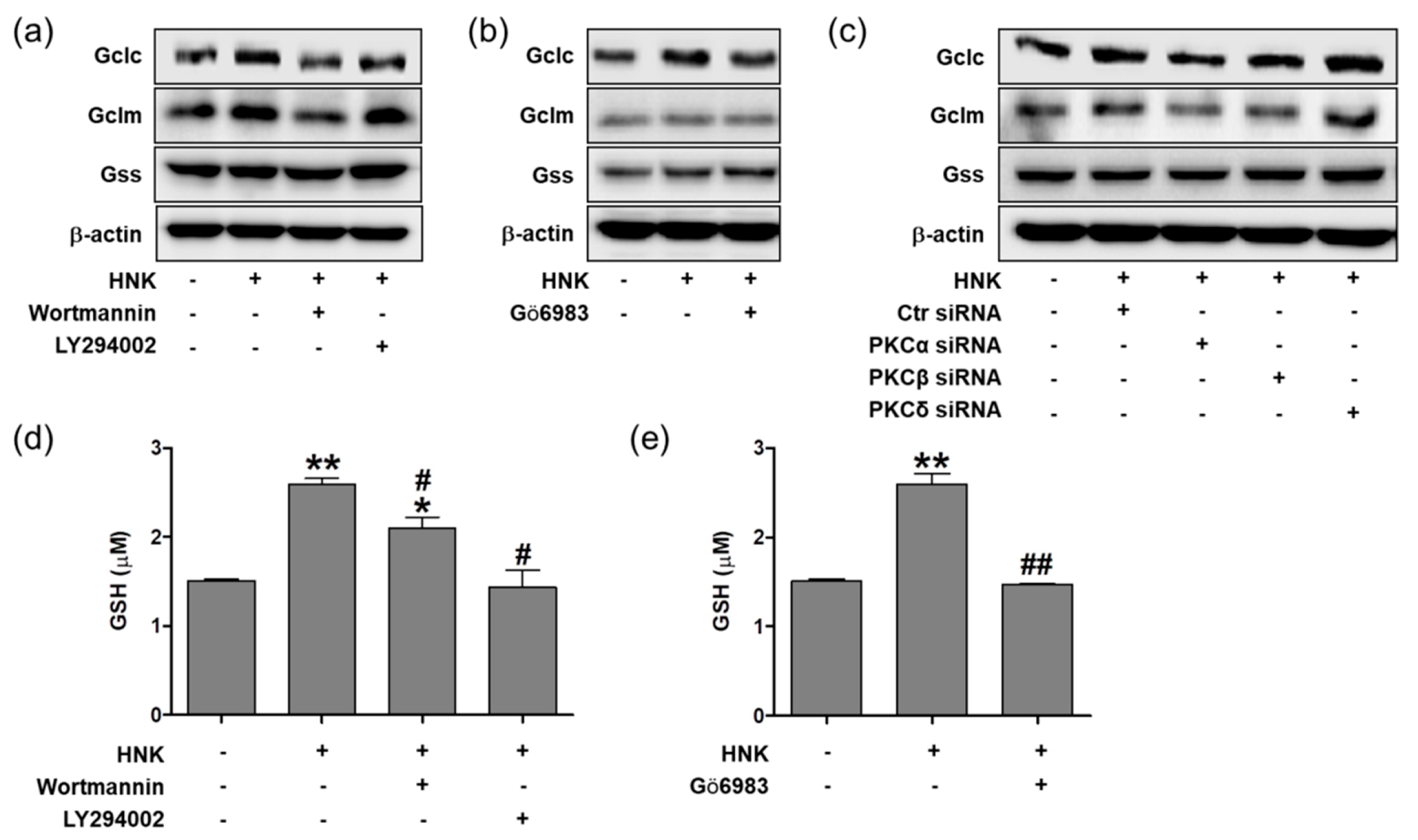Biomedicines 08 00352 g005