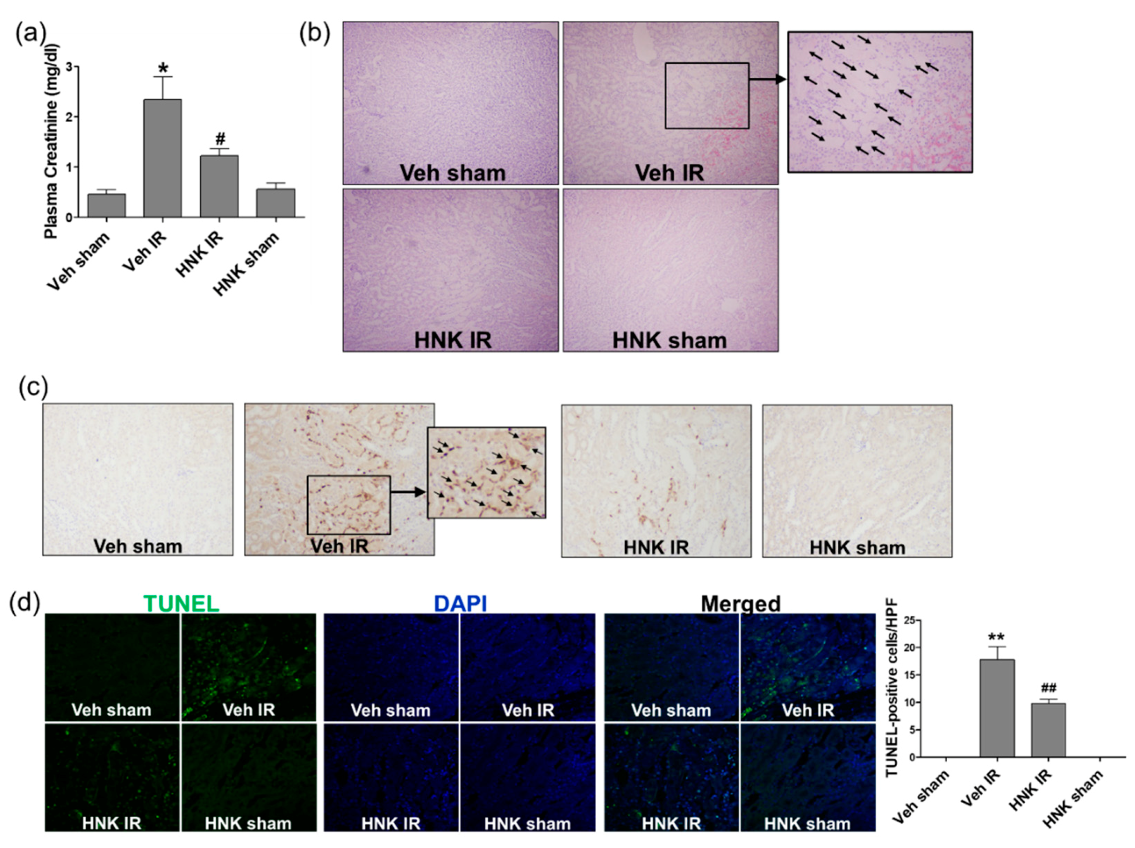 Biomedicines 08 00352 g006