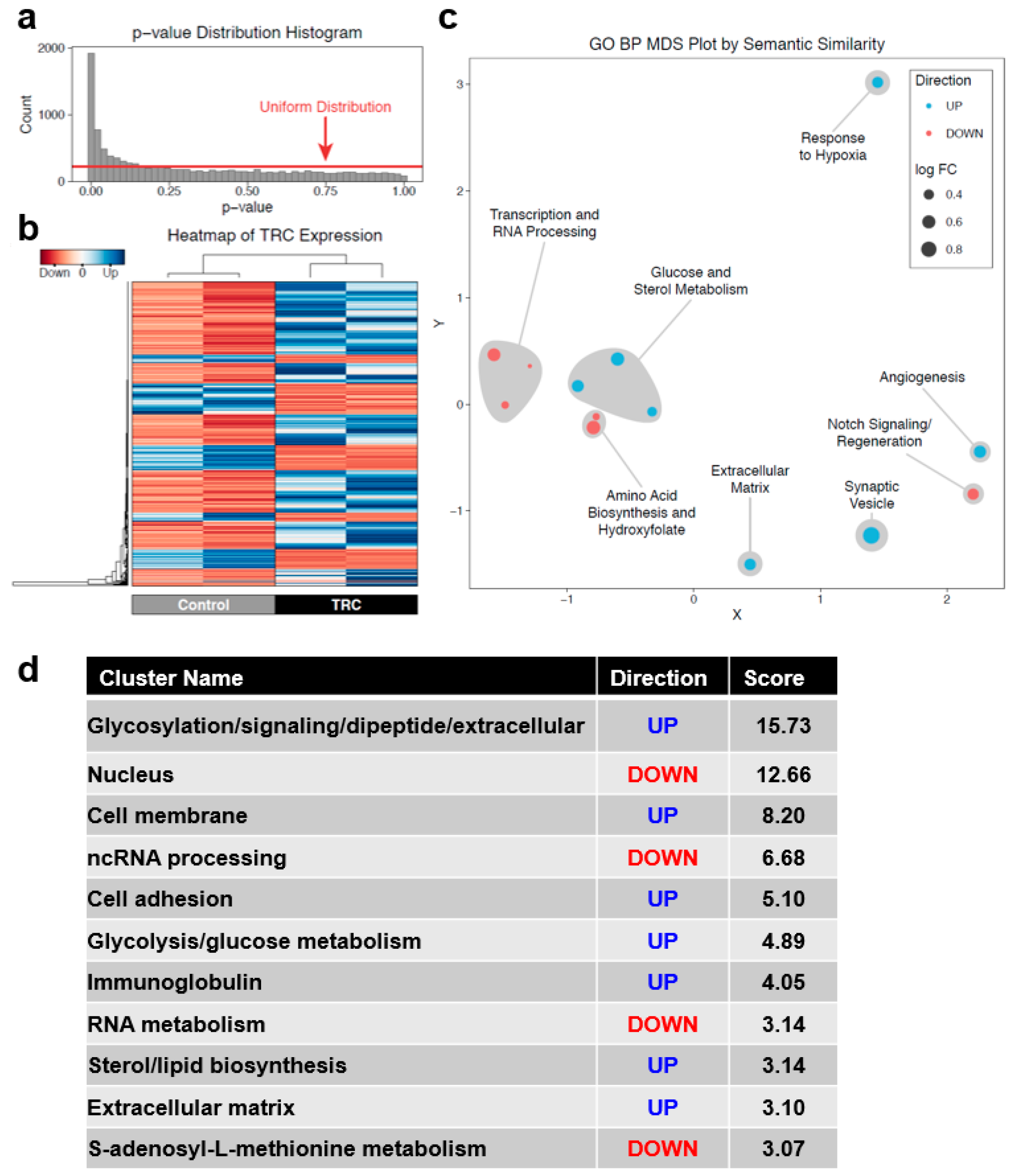 Biomedicines 08 00360 g002 Biomedicines 08 00360 g002