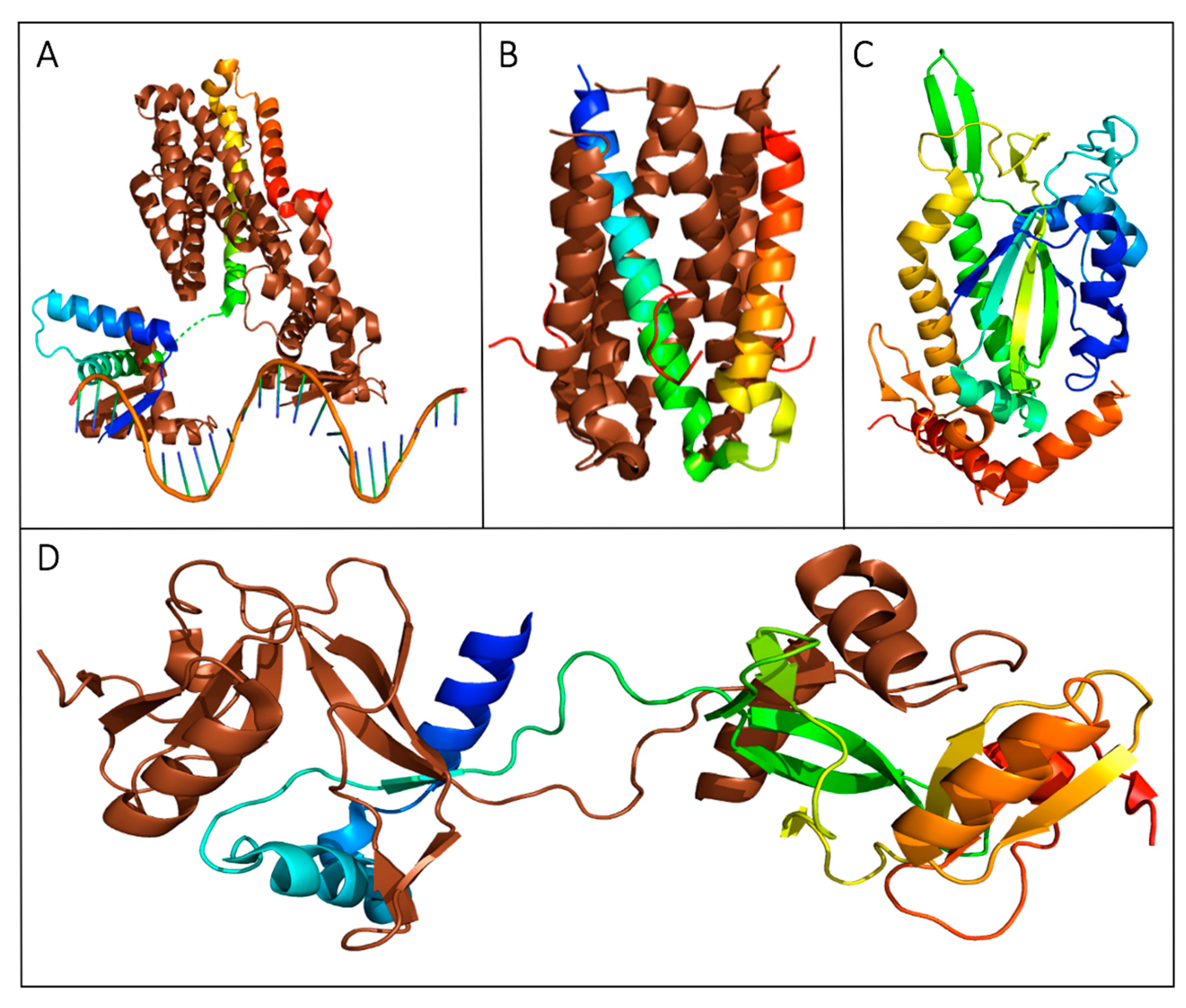 Biomedicines 08 00362 g005 Biomedicines 08 00362 g005