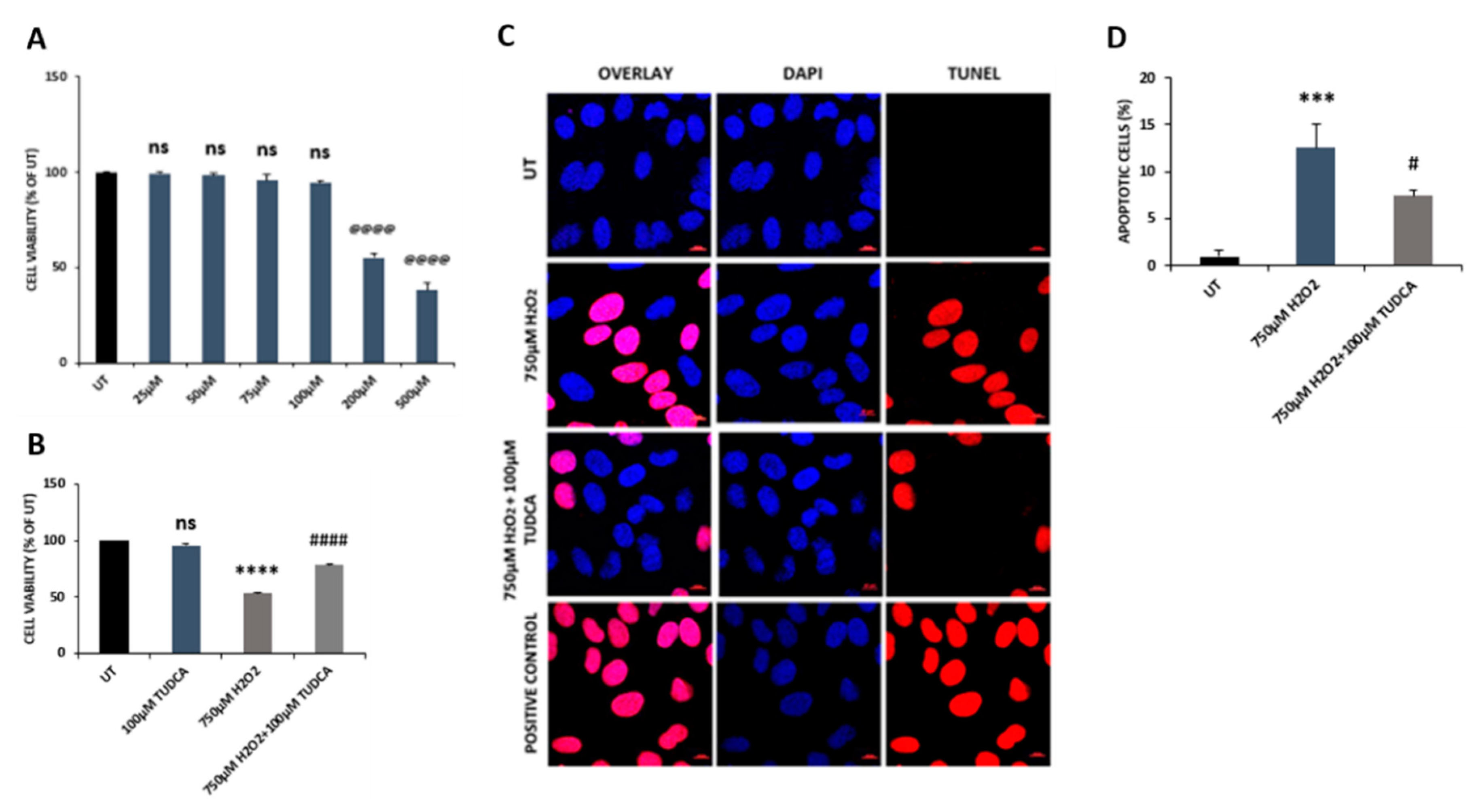 Biomedicines 08 00367 g001