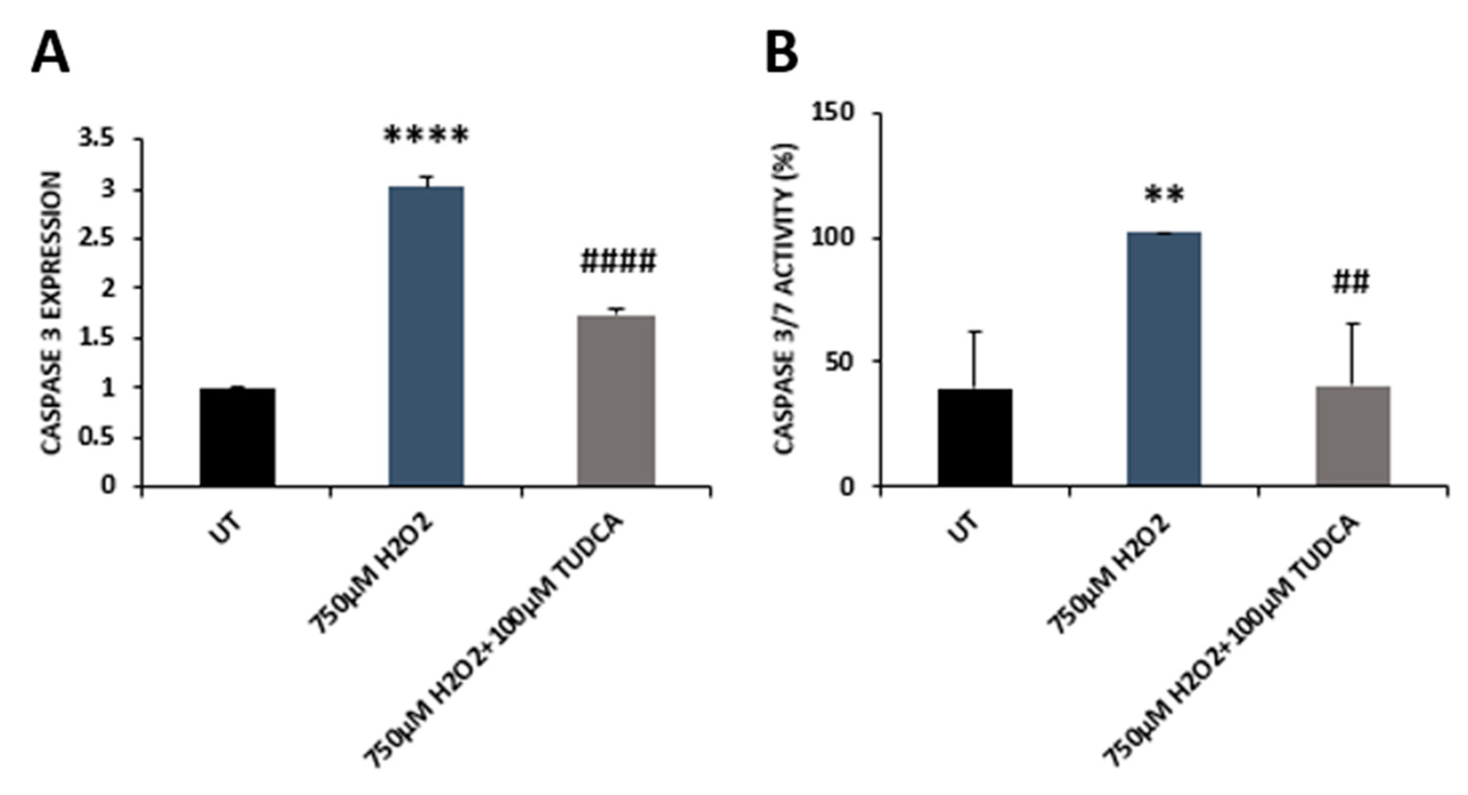 Biomedicines 08 00367 g002