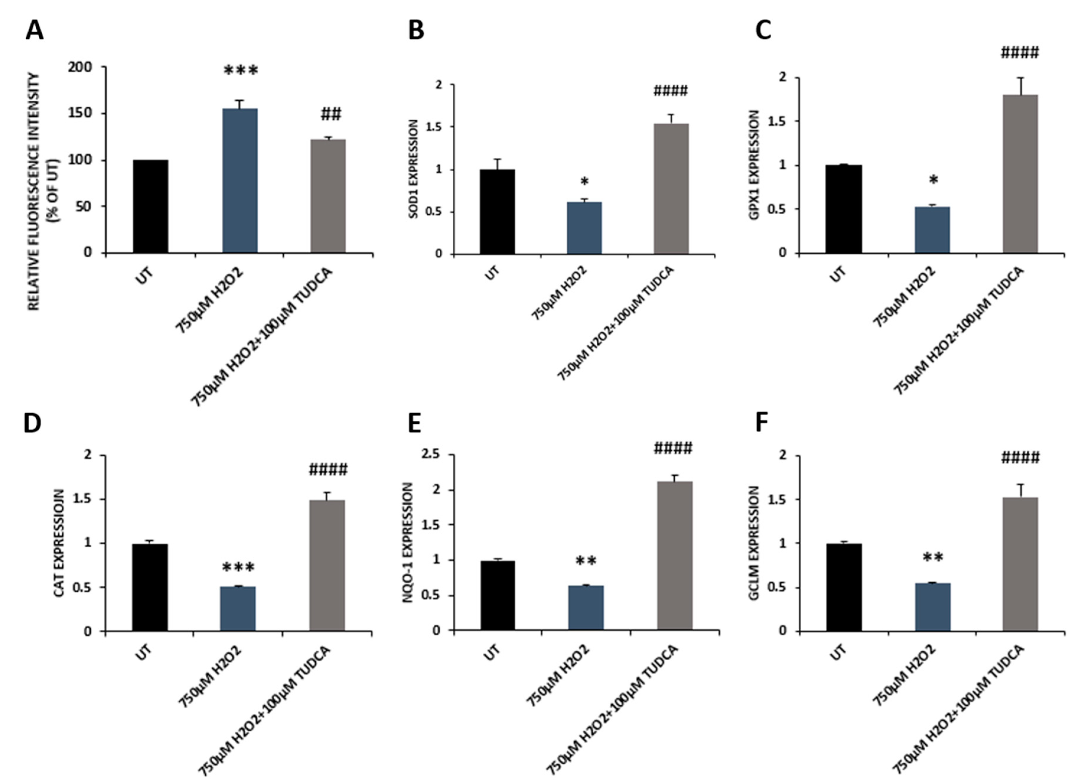 Biomedicines 08 00367 g003