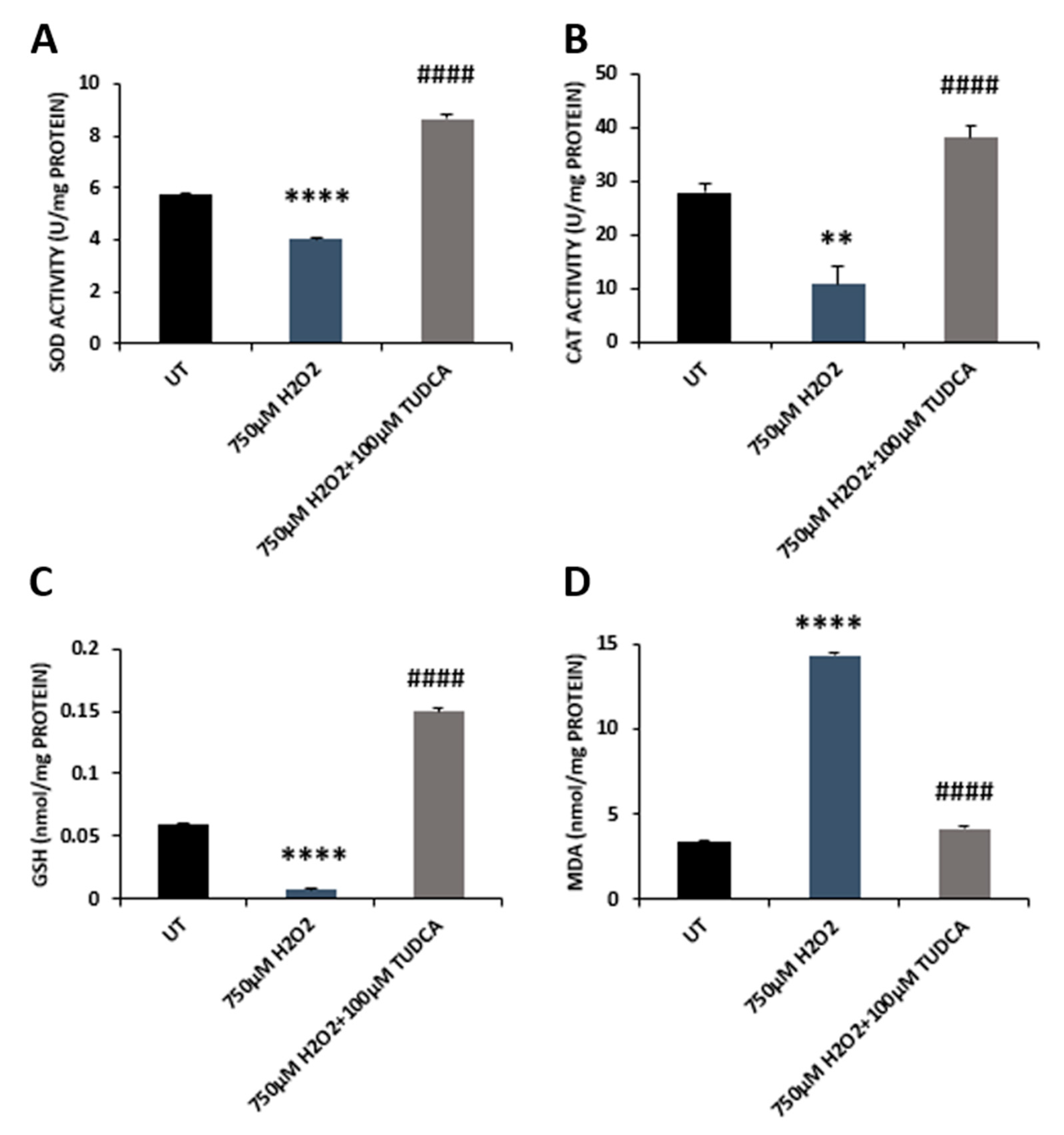 Biomedicines 08 00367 g004
