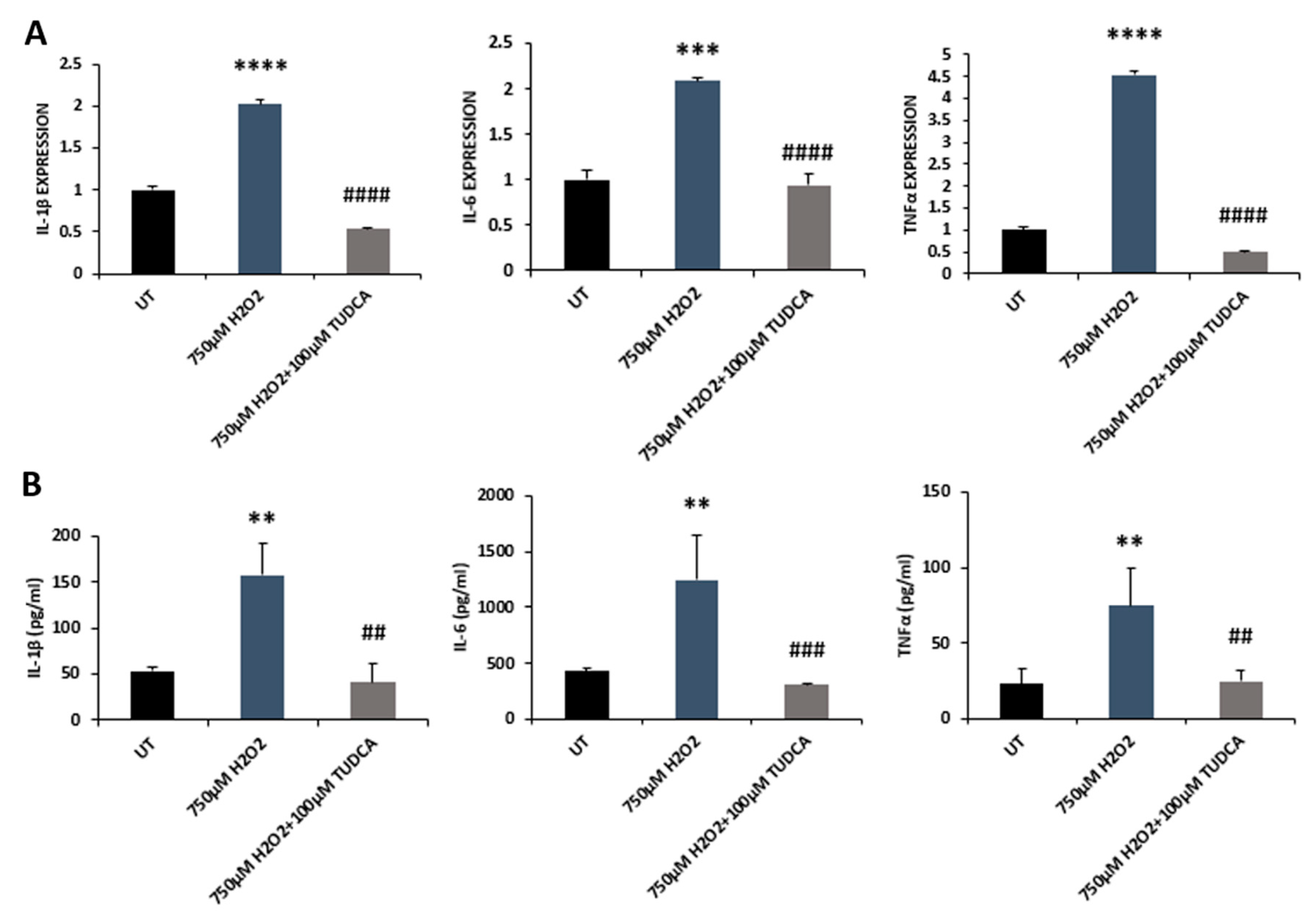 Biomedicines 08 00367 g005