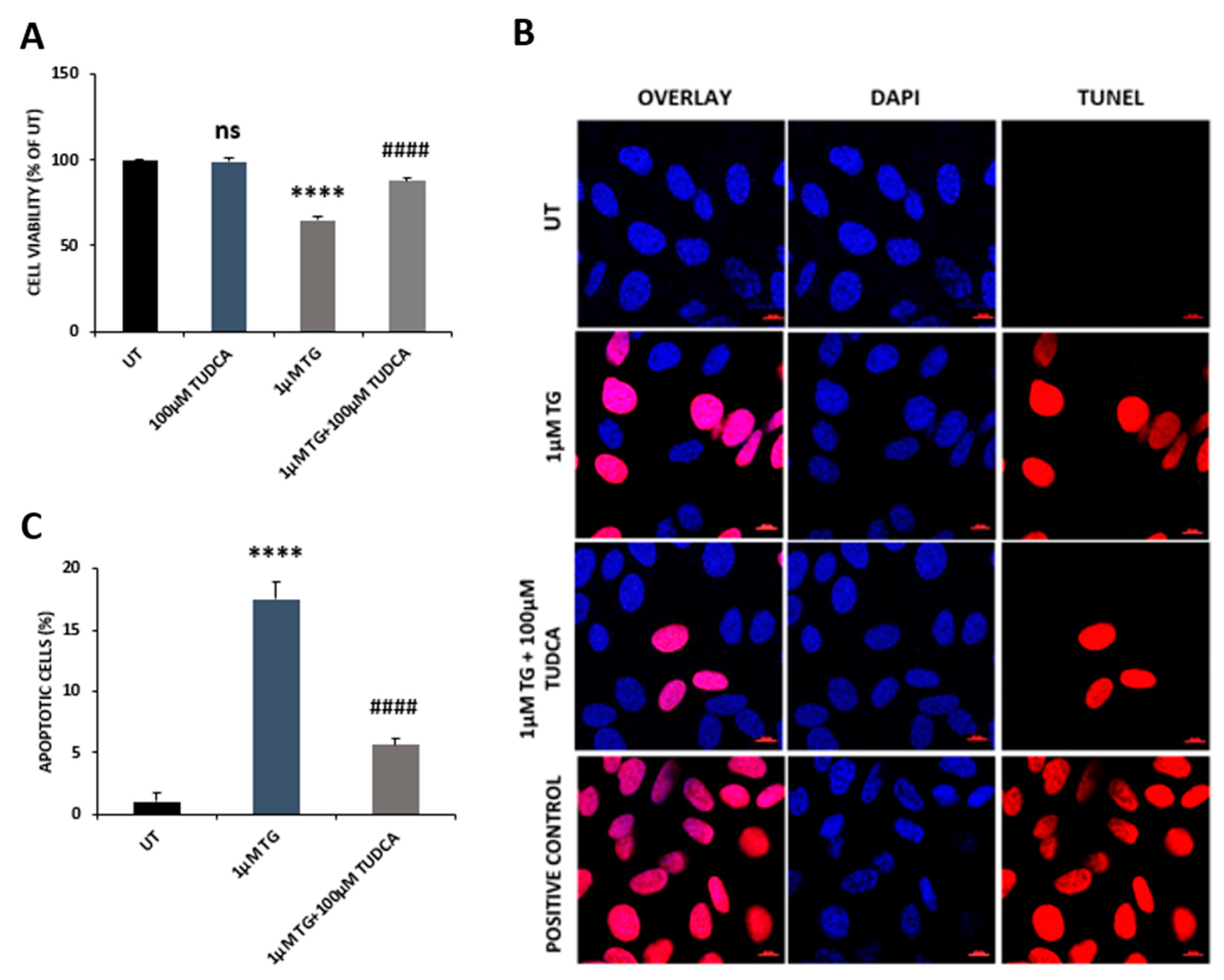 Biomedicines 08 00367 g006
