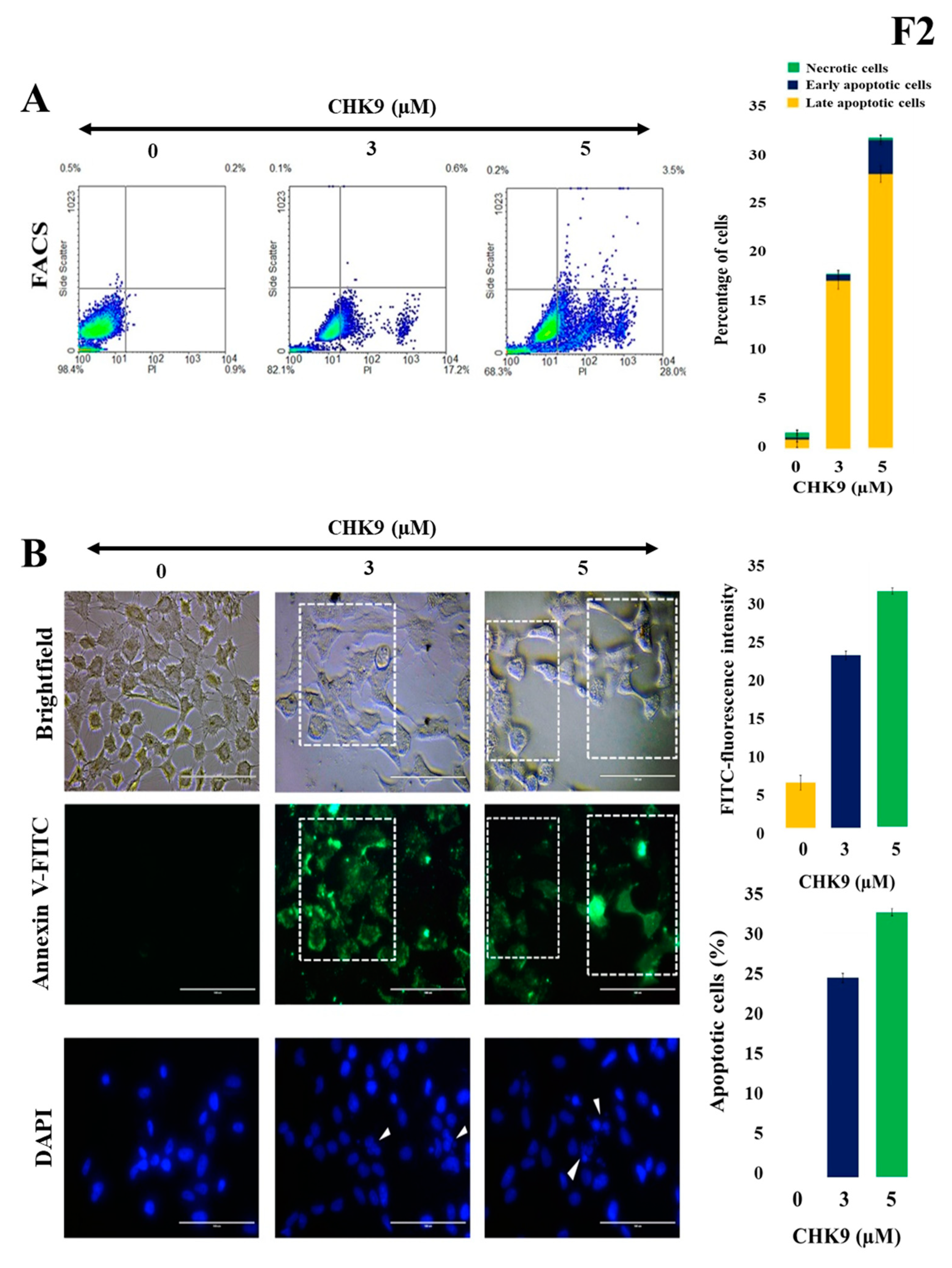 Biomedicines 08 00368 g002