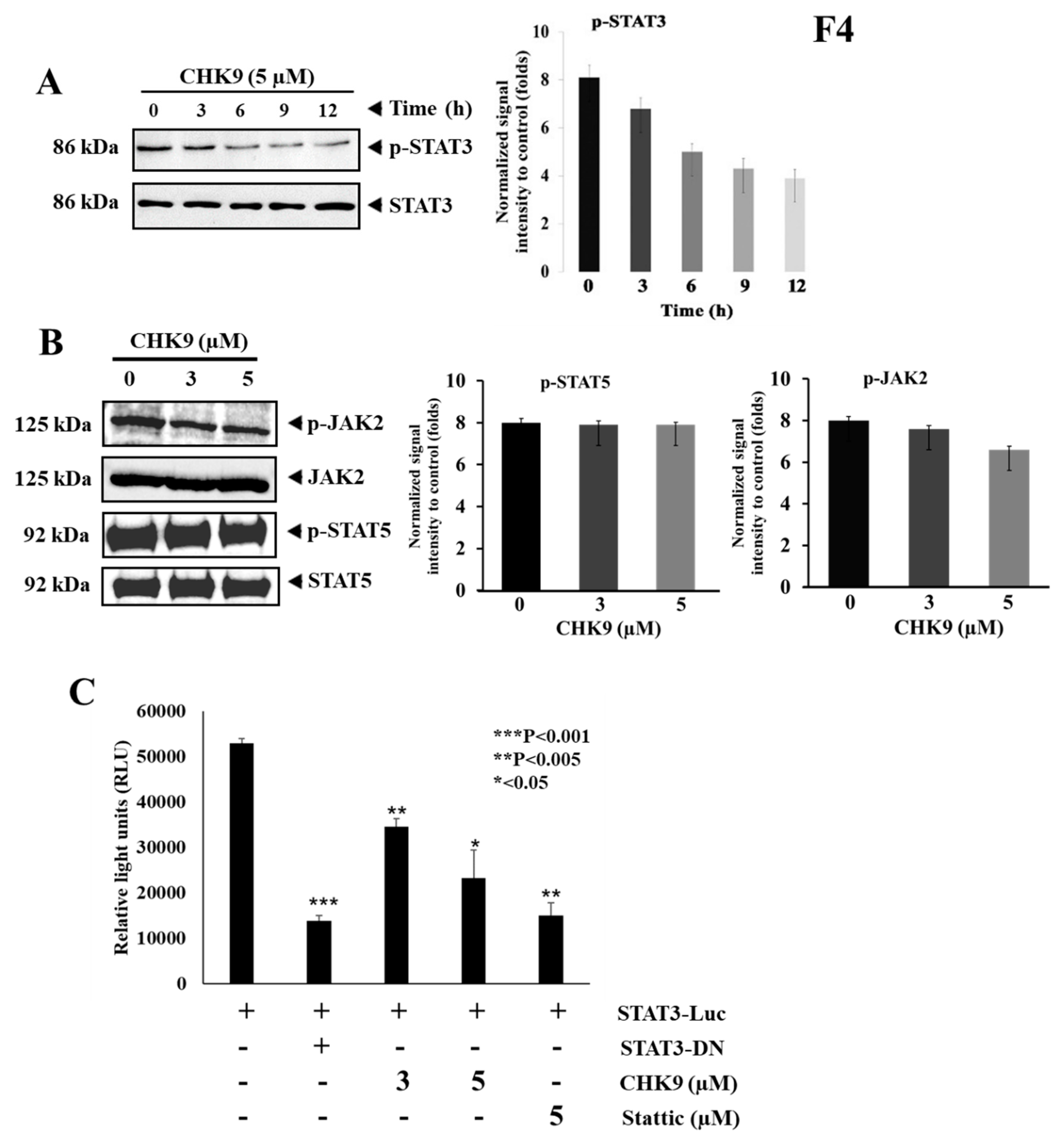 Biomedicines 08 00368 g004