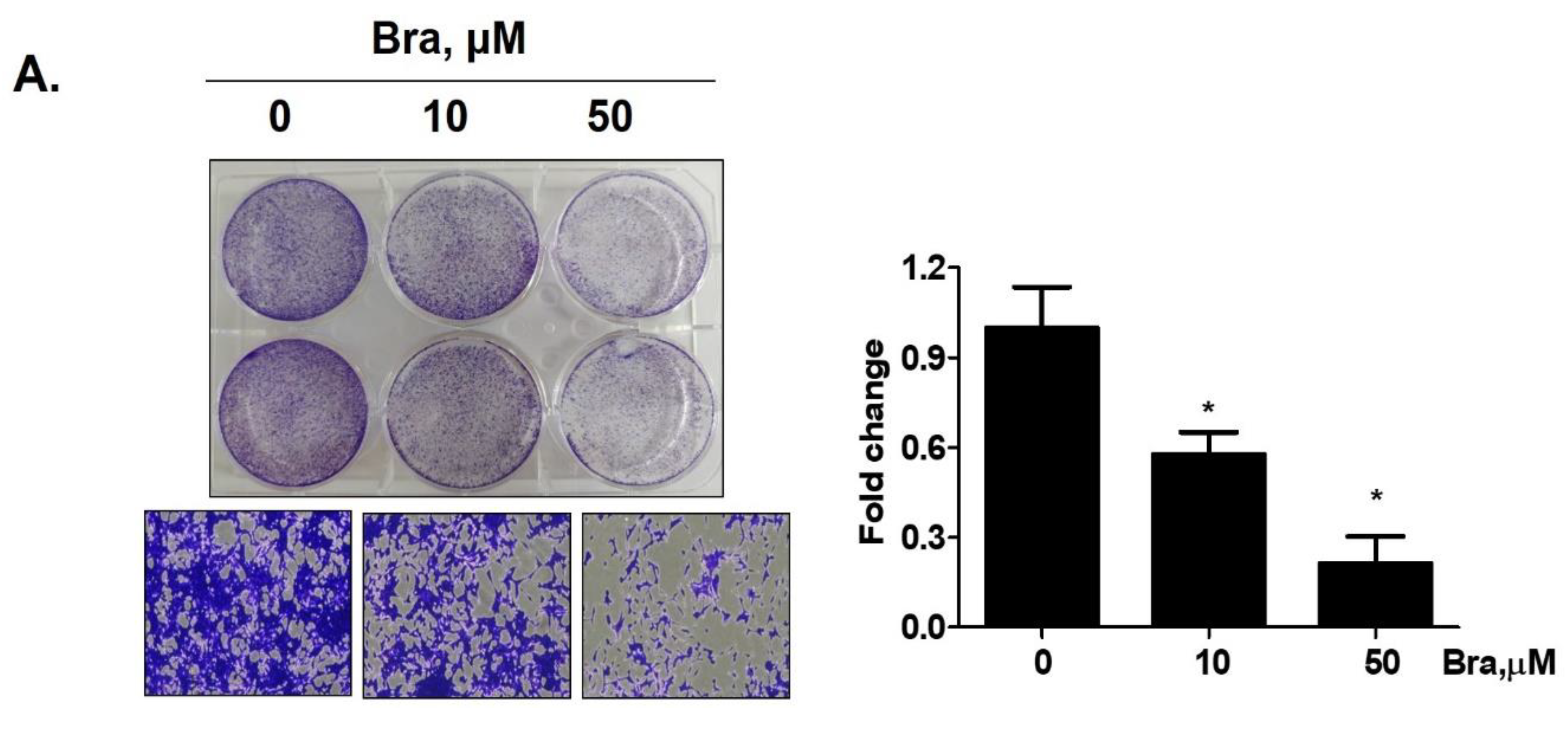 Biomedicines 08 00370 g004a