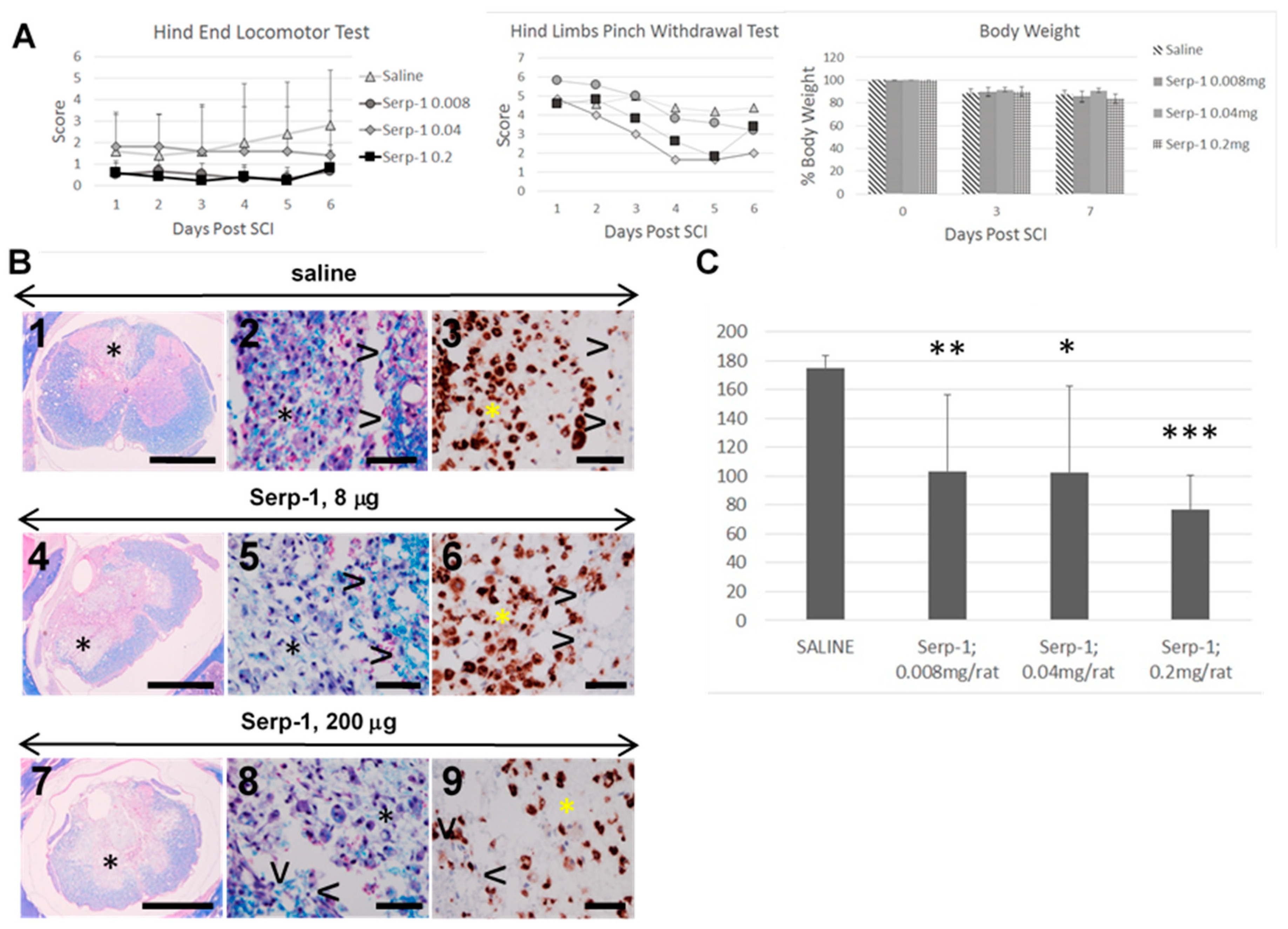 Biomedicines 08 00372 g001