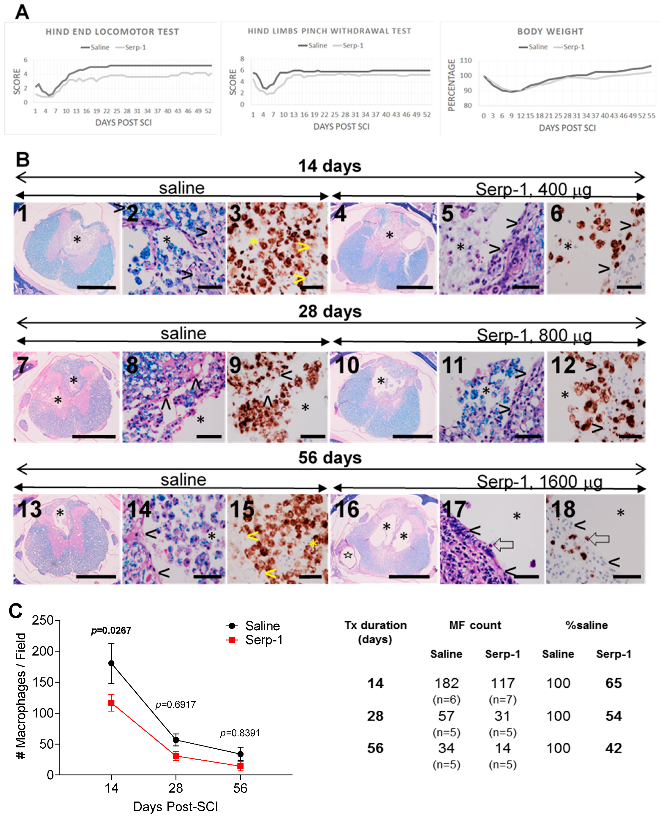 Biomedicines 08 00372 g002