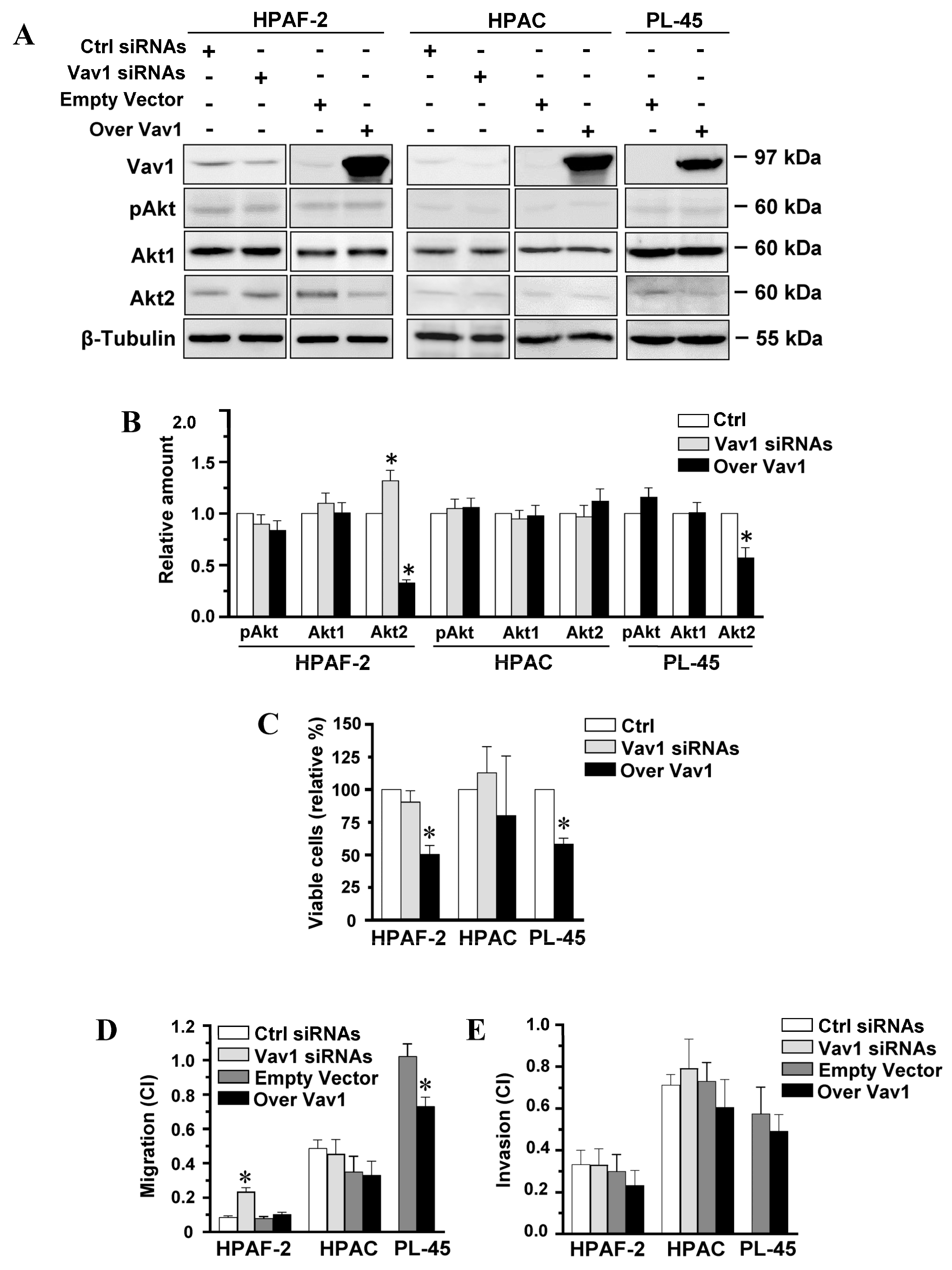 Biomedicines 08 00379 g001