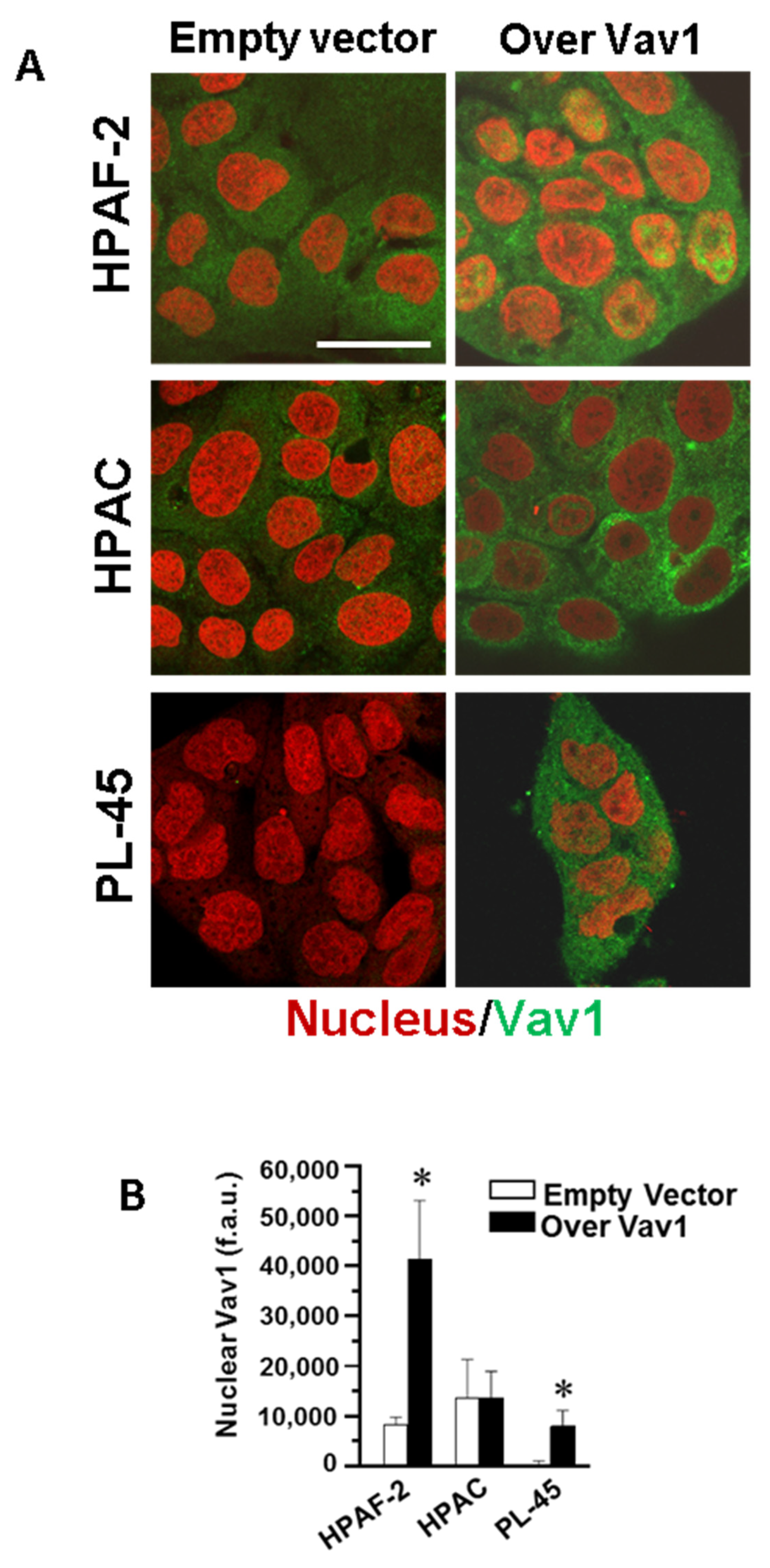 Biomedicines 08 00379 g003