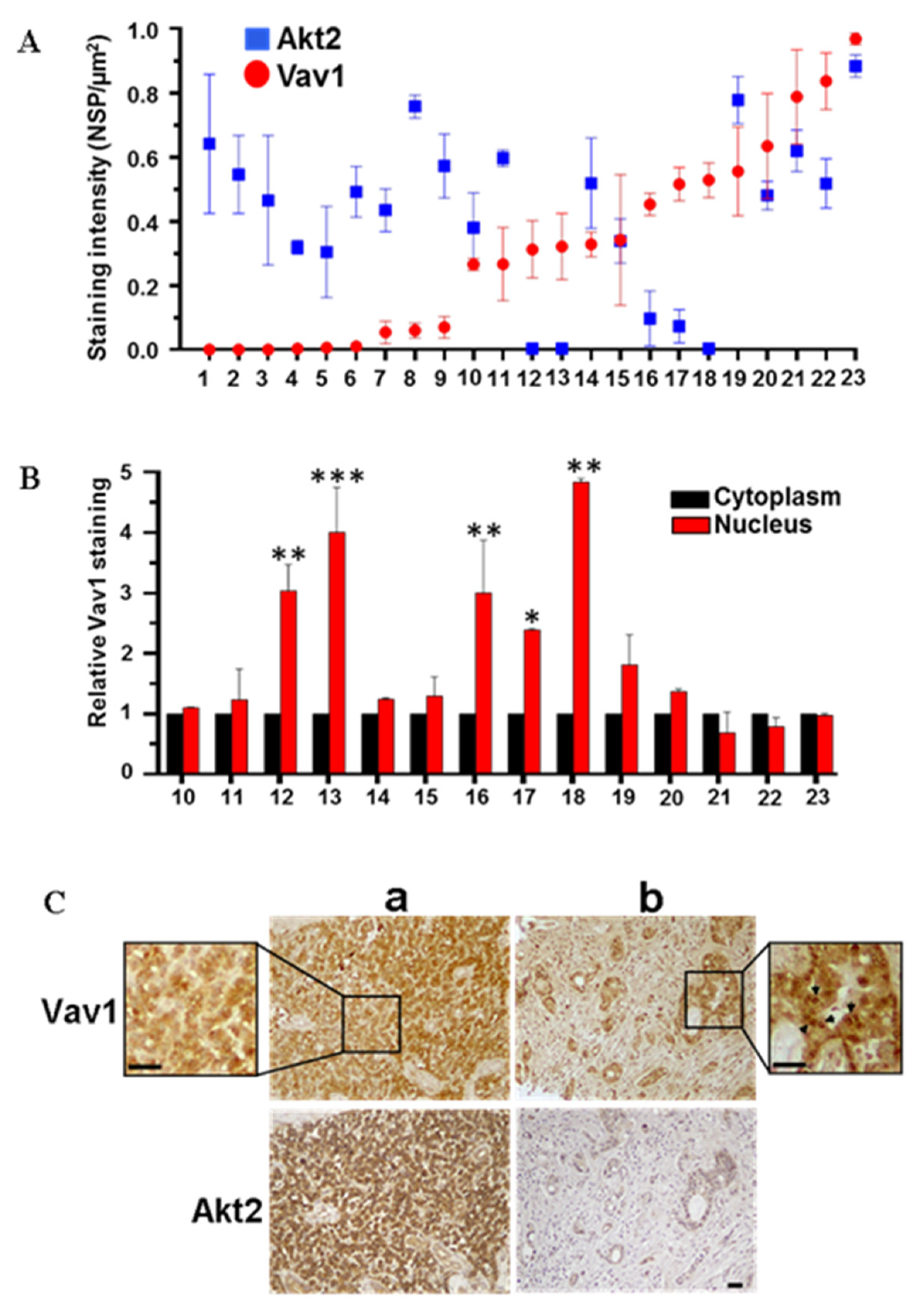 Biomedicines 08 00379 g004