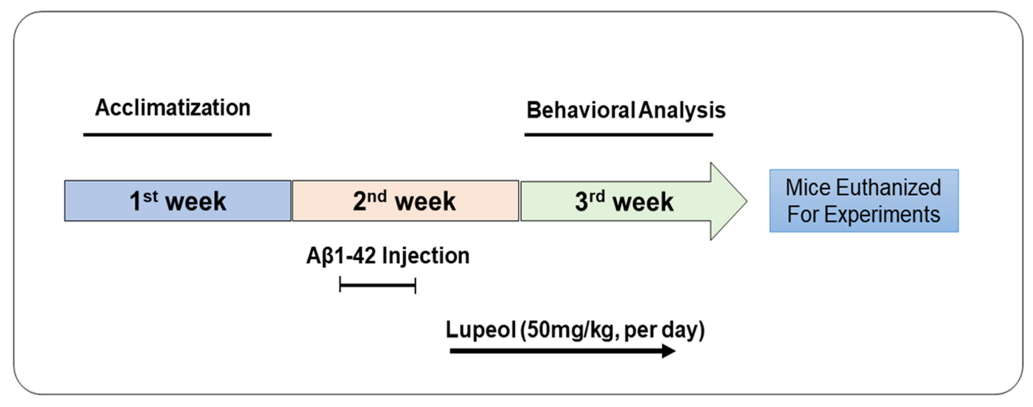 Biomedicines 08 00380 g001