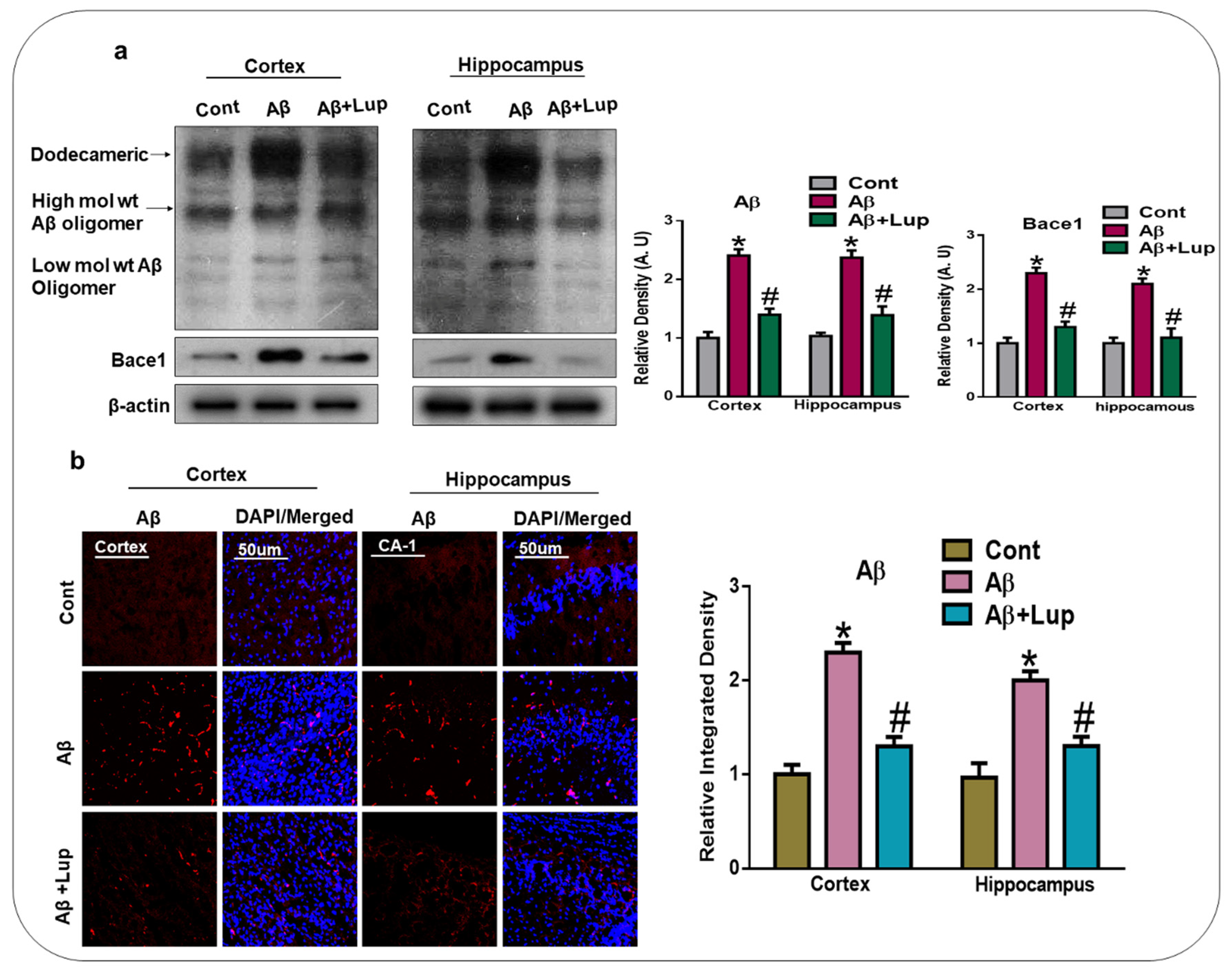 Biomedicines 08 00380 g002
