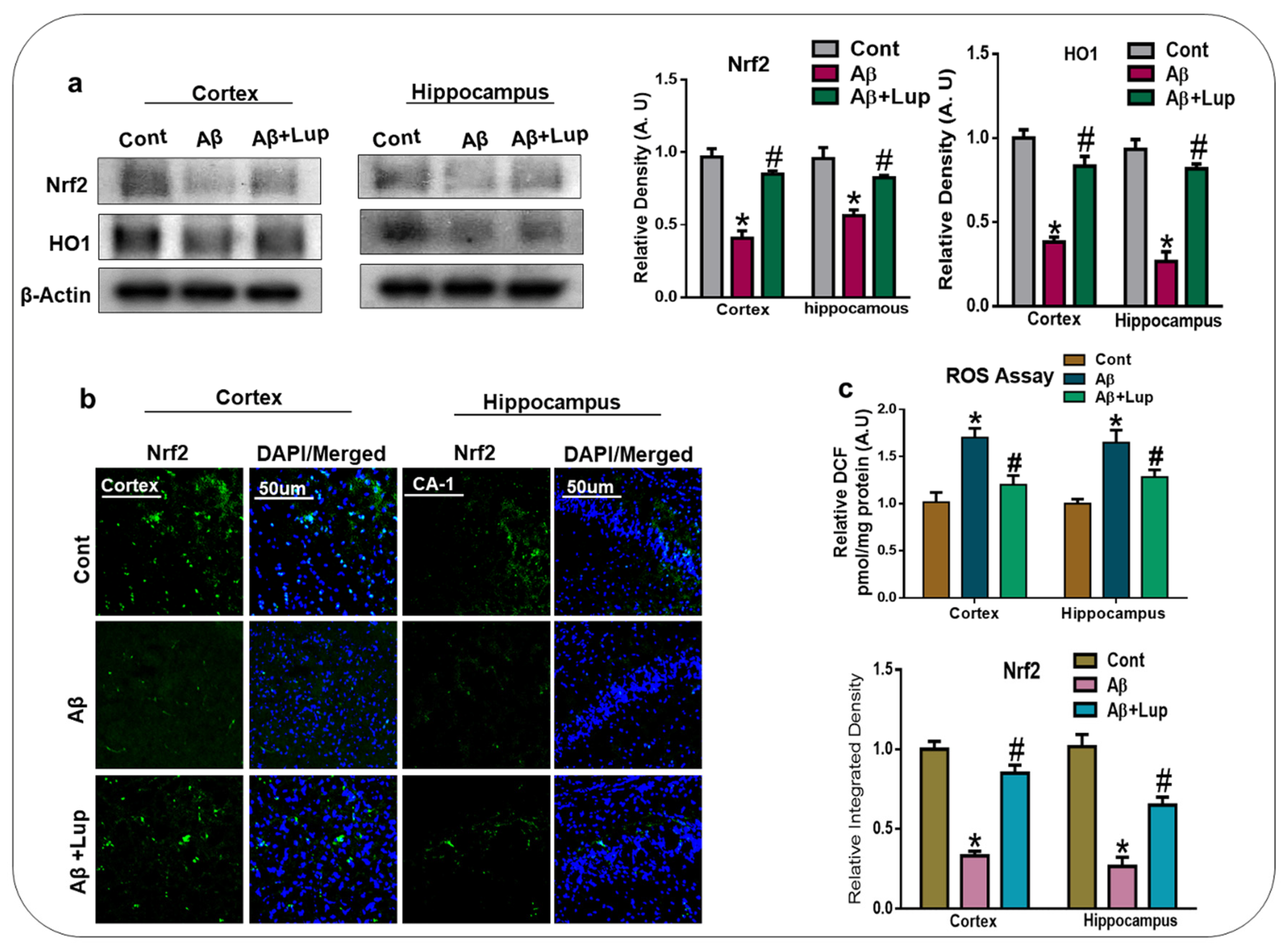 Biomedicines 08 00380 g003