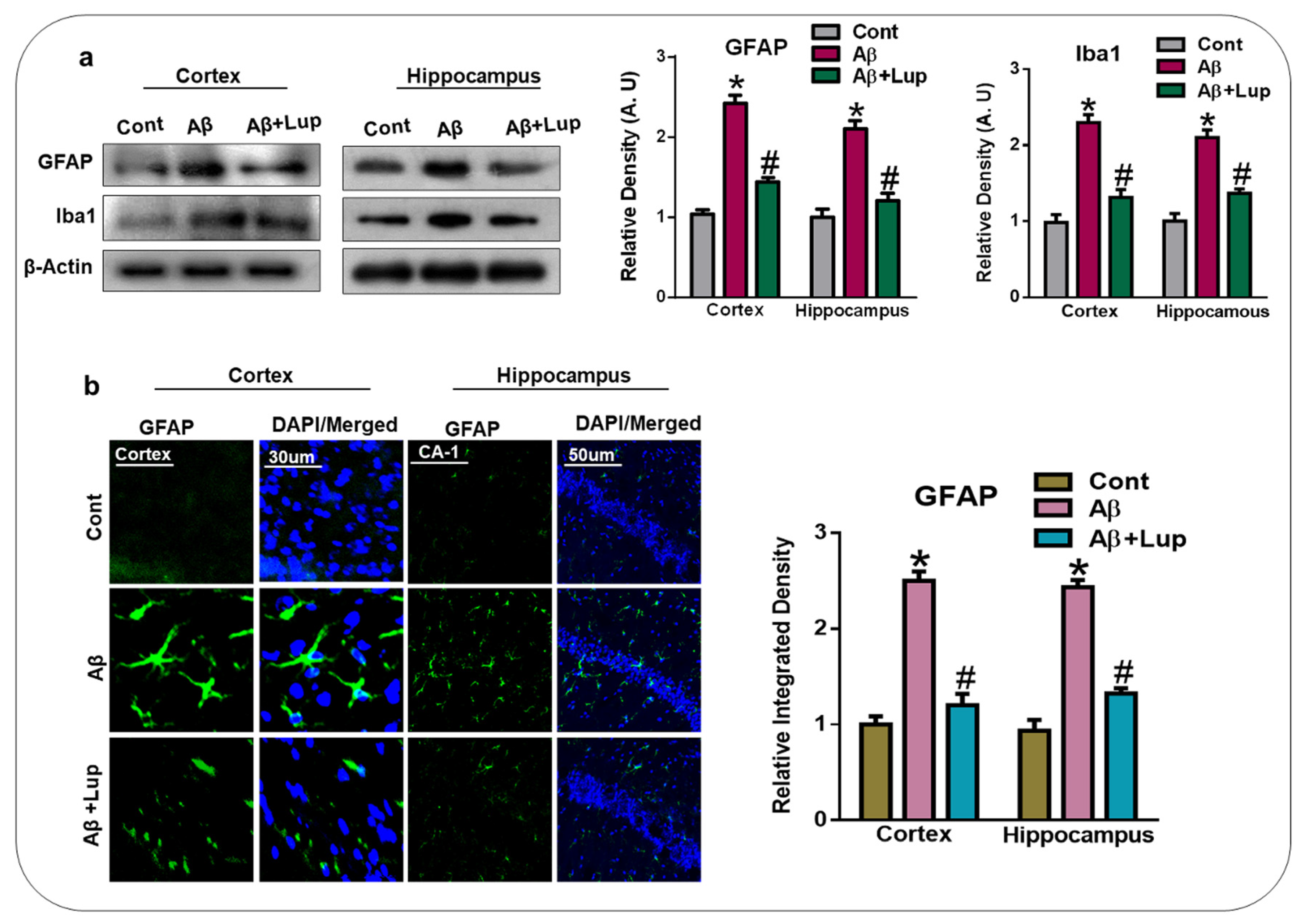 Biomedicines 08 00380 g004