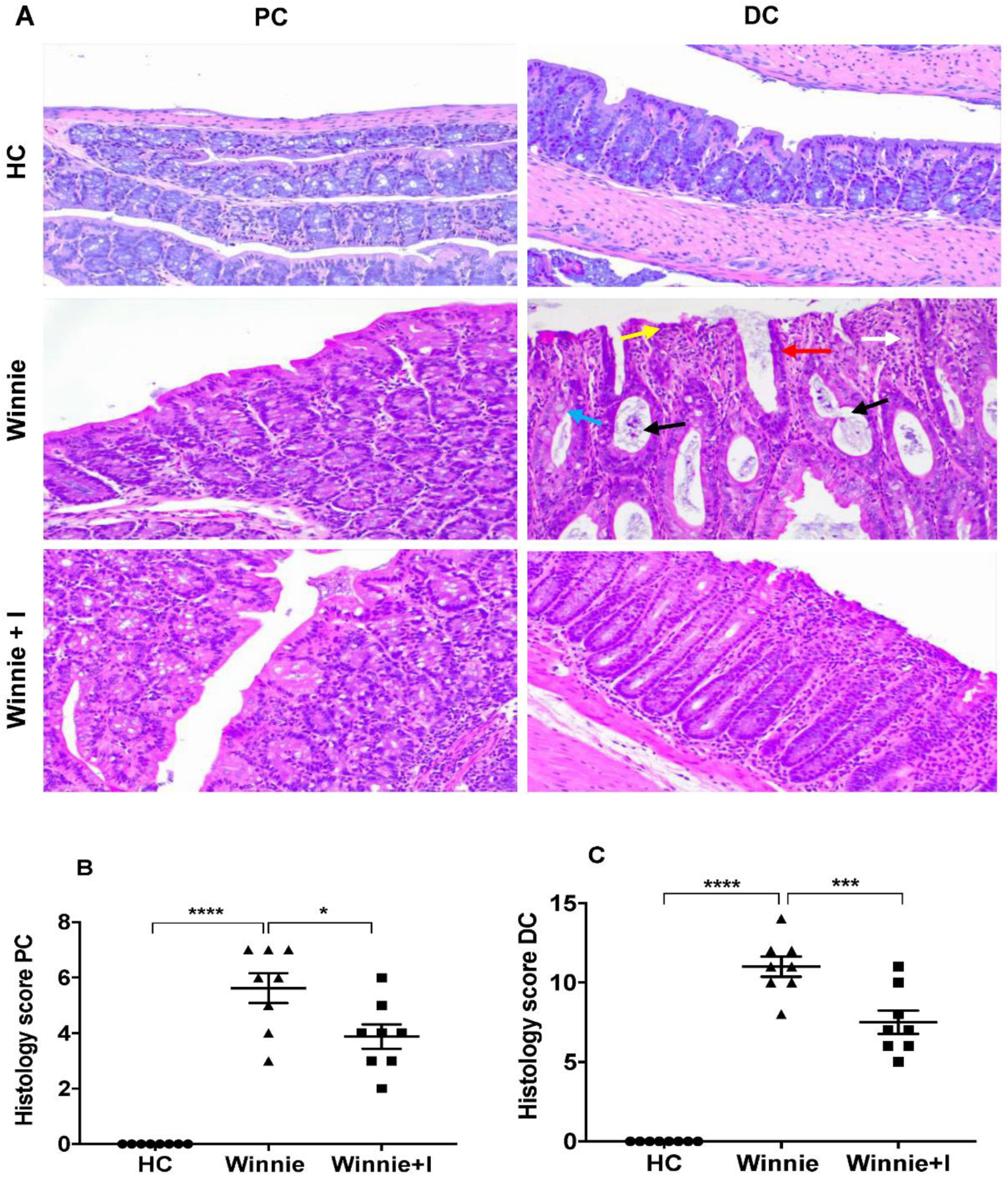 Biomedicines 08 00384 g002