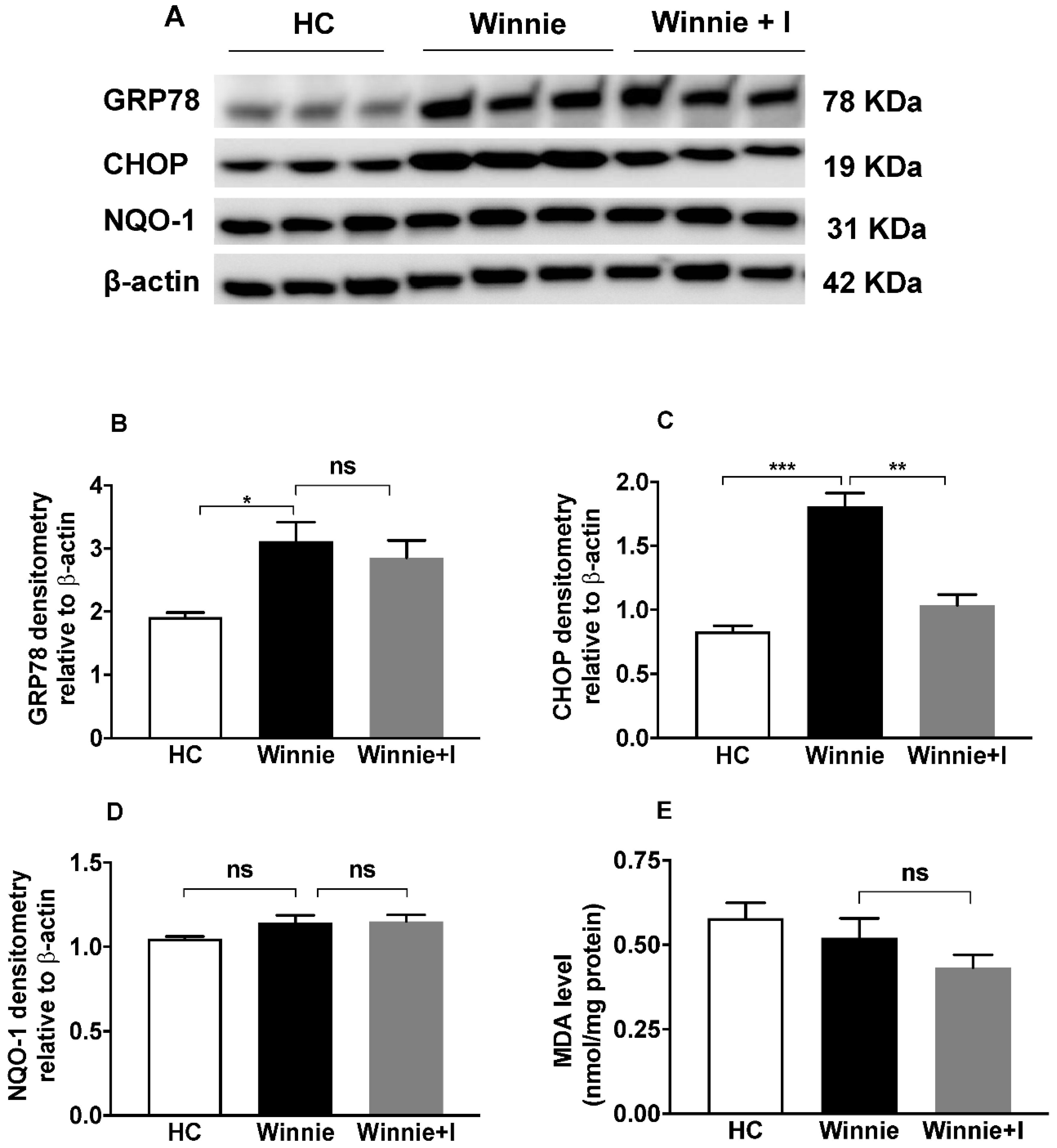 Biomedicines 08 00384 g005