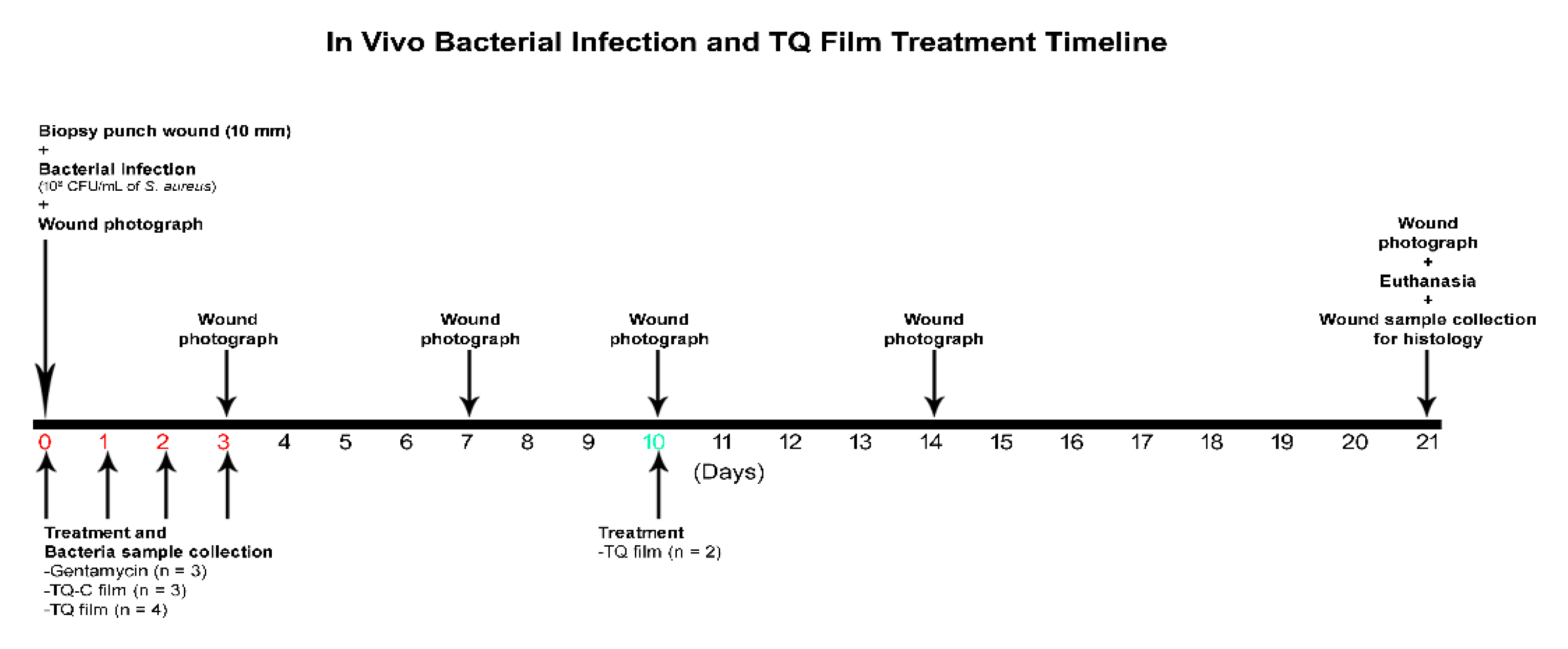 Biomedicines 08 00386 g001 Biomedicines 08 00386 g001