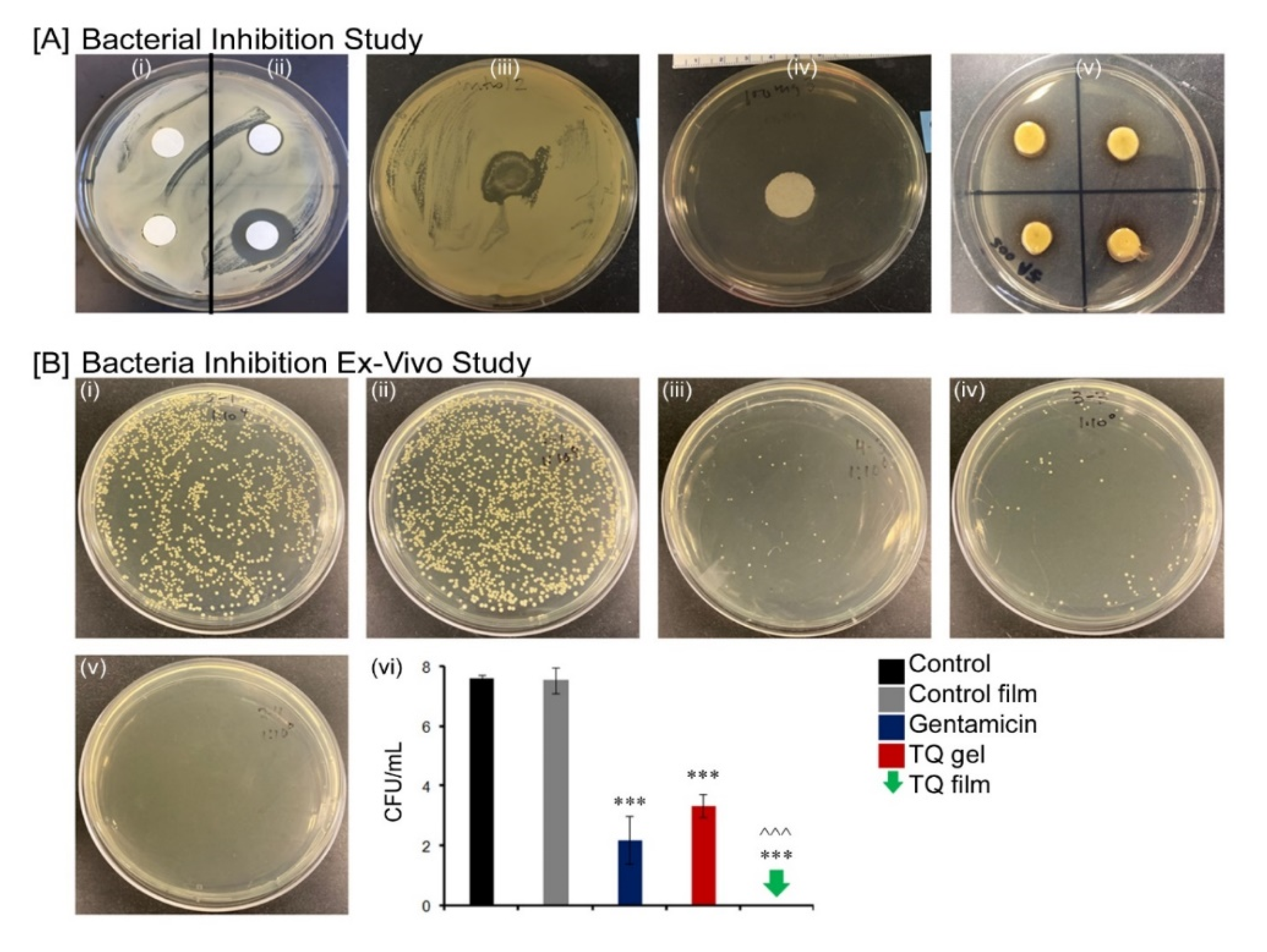 Biomedicines 08 00386 g005 Biomedicines 08 00386 g005