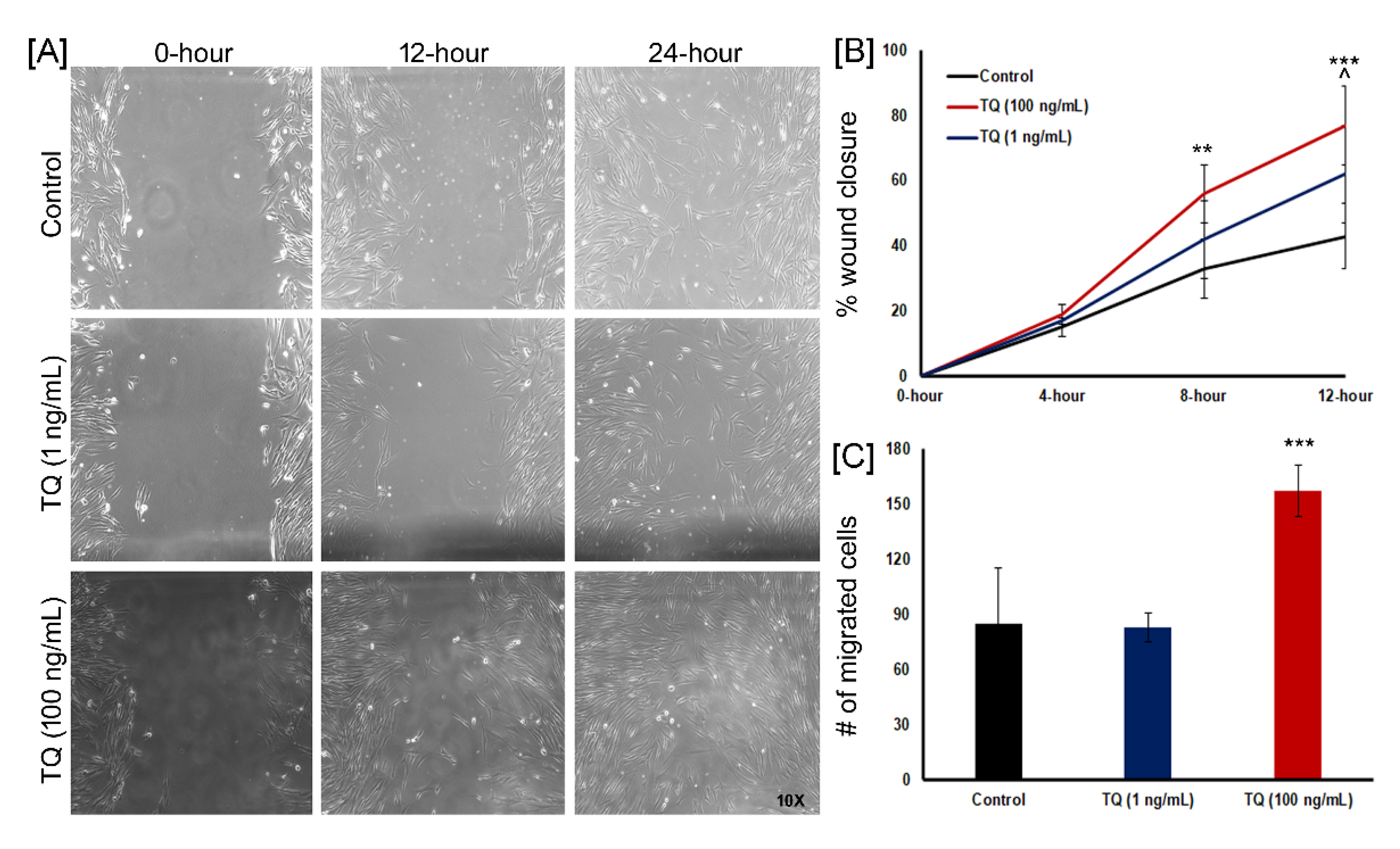 Biomedicines 08 00386 g006 Biomedicines 08 00386 g006