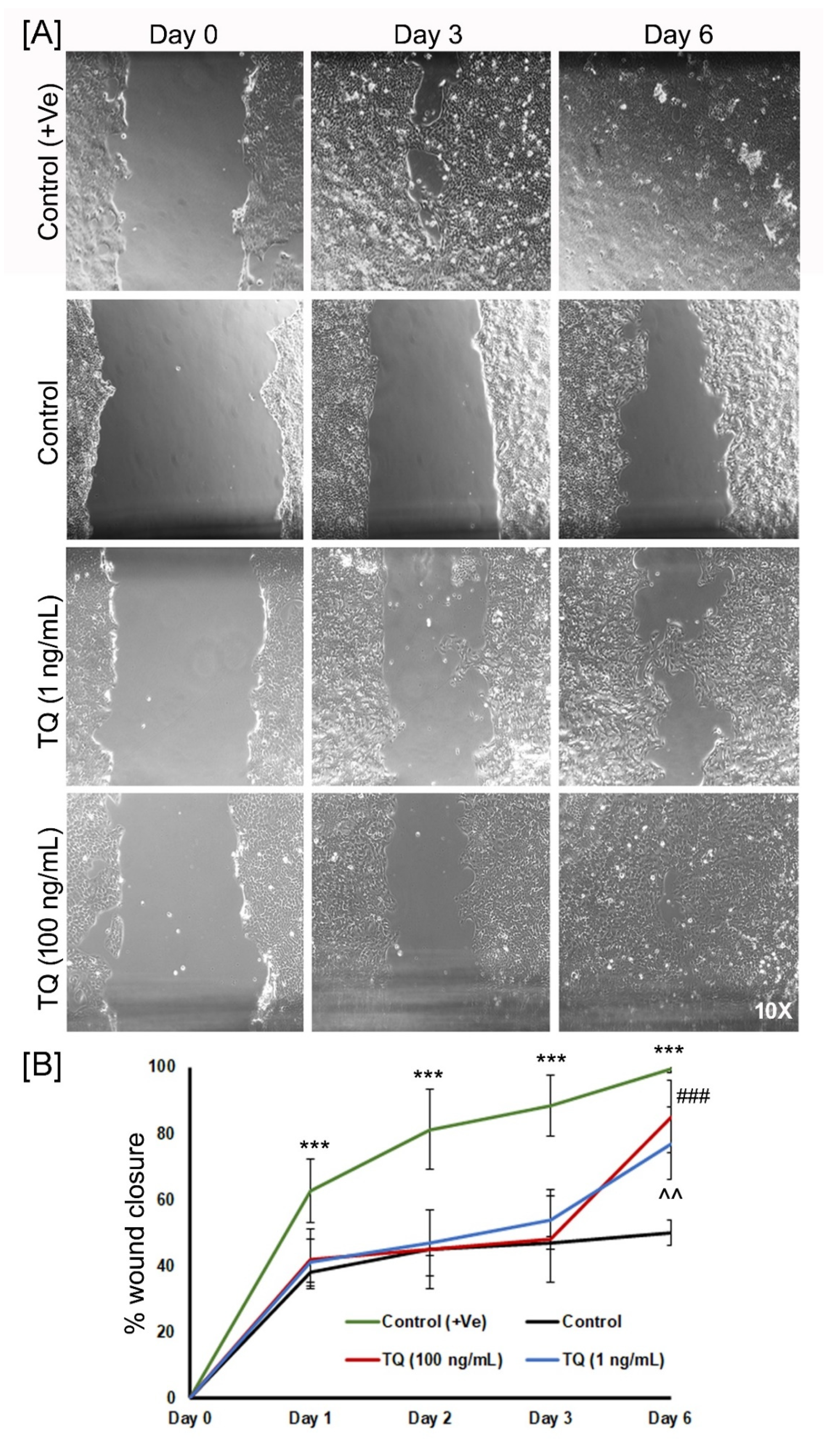 Biomedicines 08 00386 g007 Biomedicines 08 00386 g007