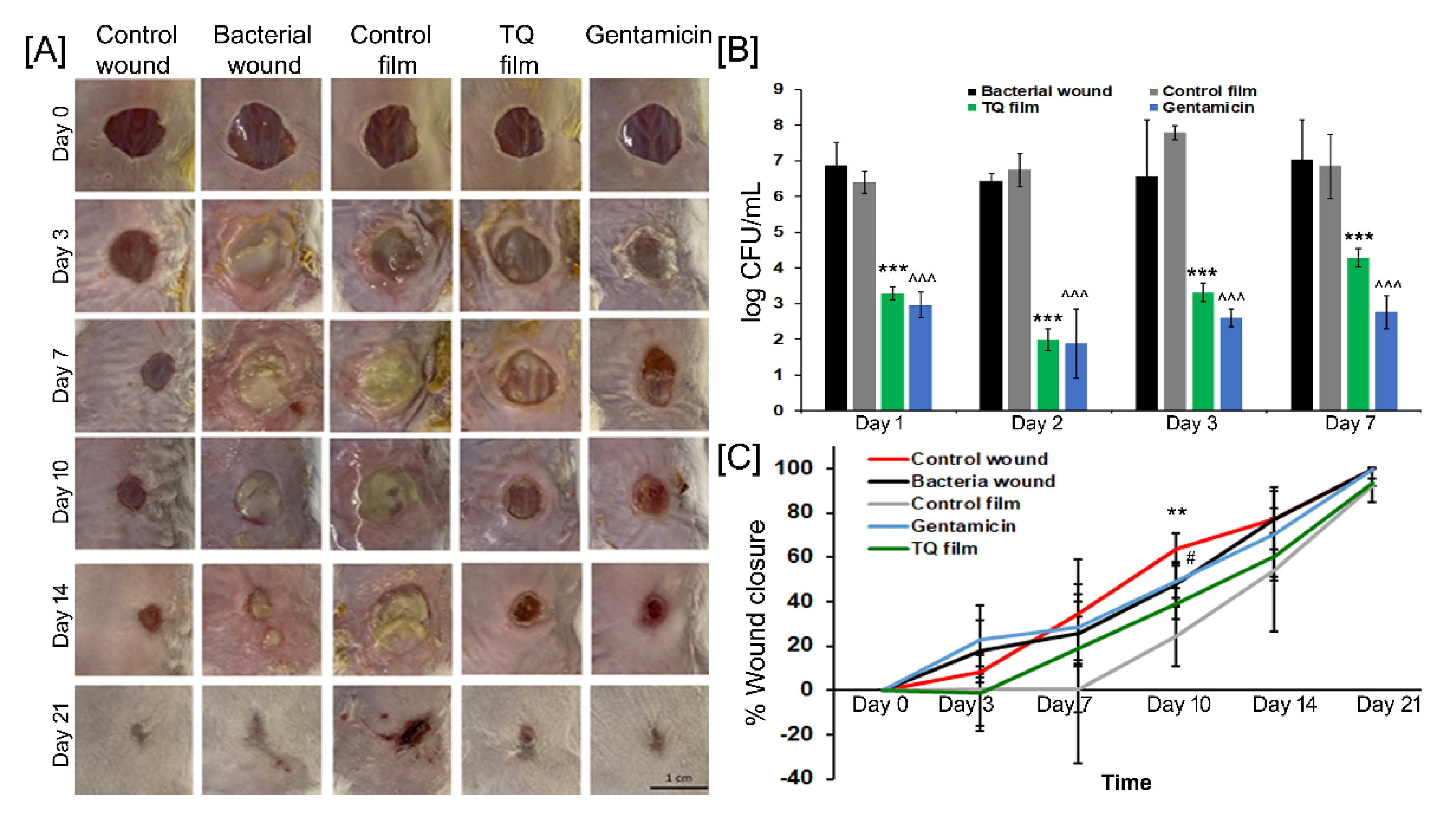 Biomedicines 08 00386 g008 Biomedicines 08 00386 g008