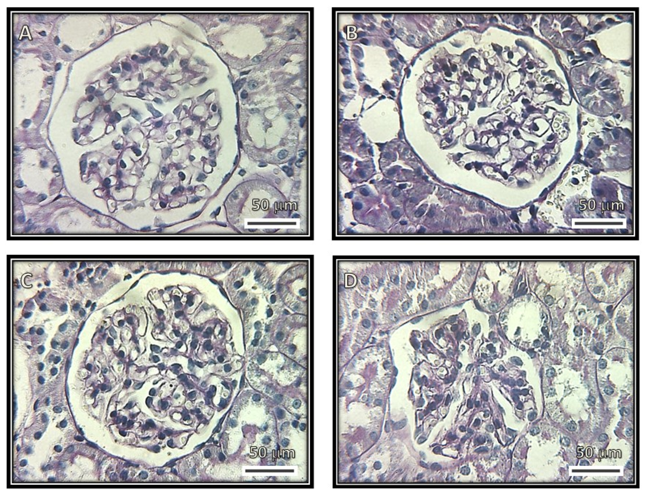 Biomedicines 08 00388 g001