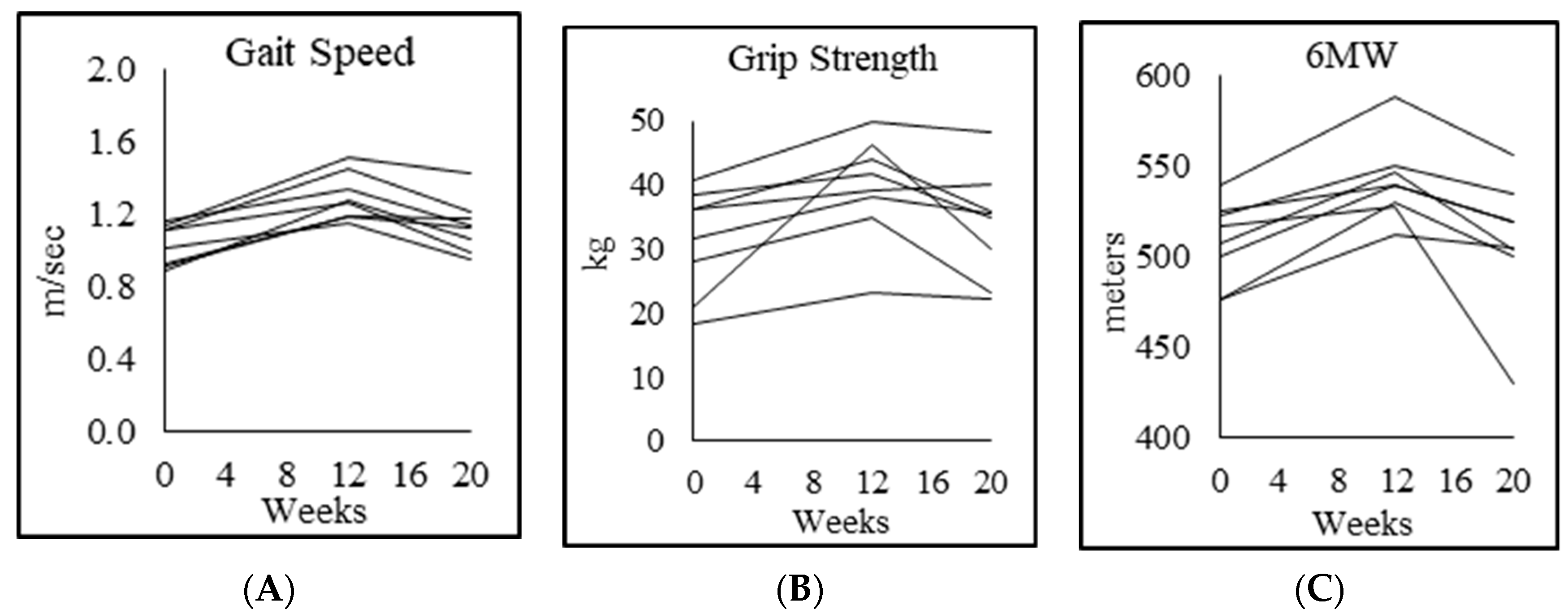 Biomedicines 08 00390 g005
